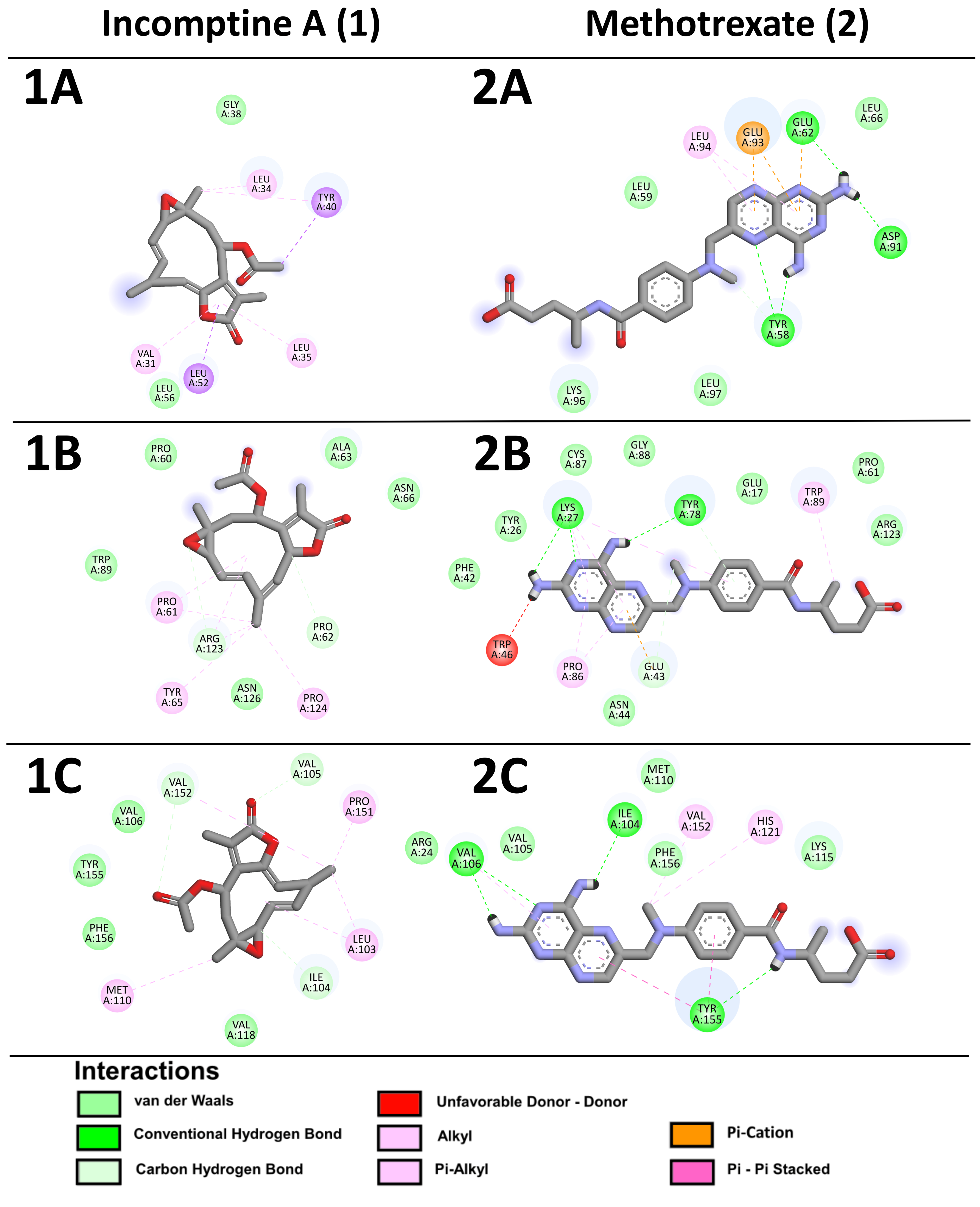 Pharmaceuticals 18 00242 g007a