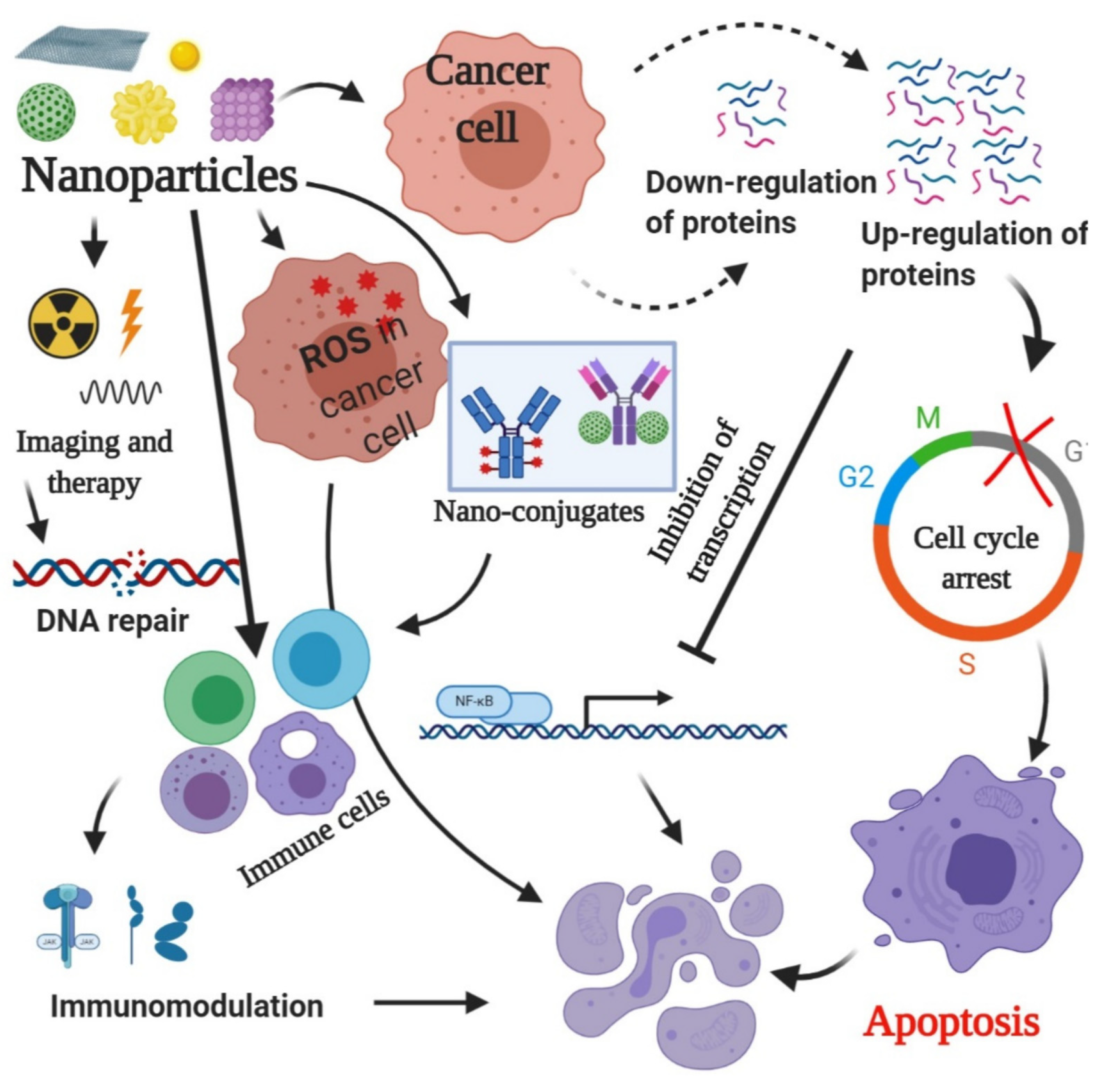 Pharmaceuticals 18 00257 g001