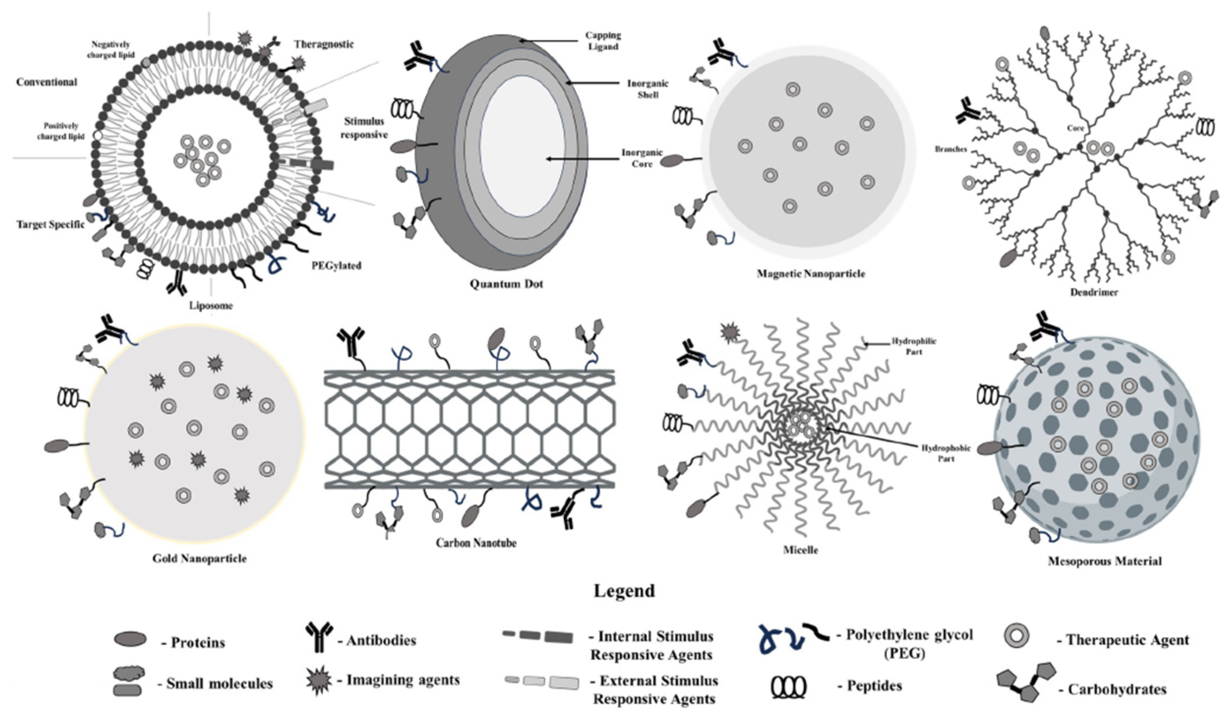 Pharmaceuticals 18 00257 g002