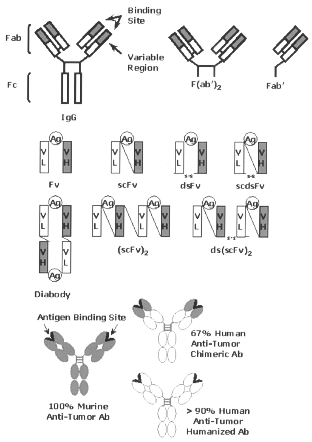 Pharmaceuticals 18 00257 g006