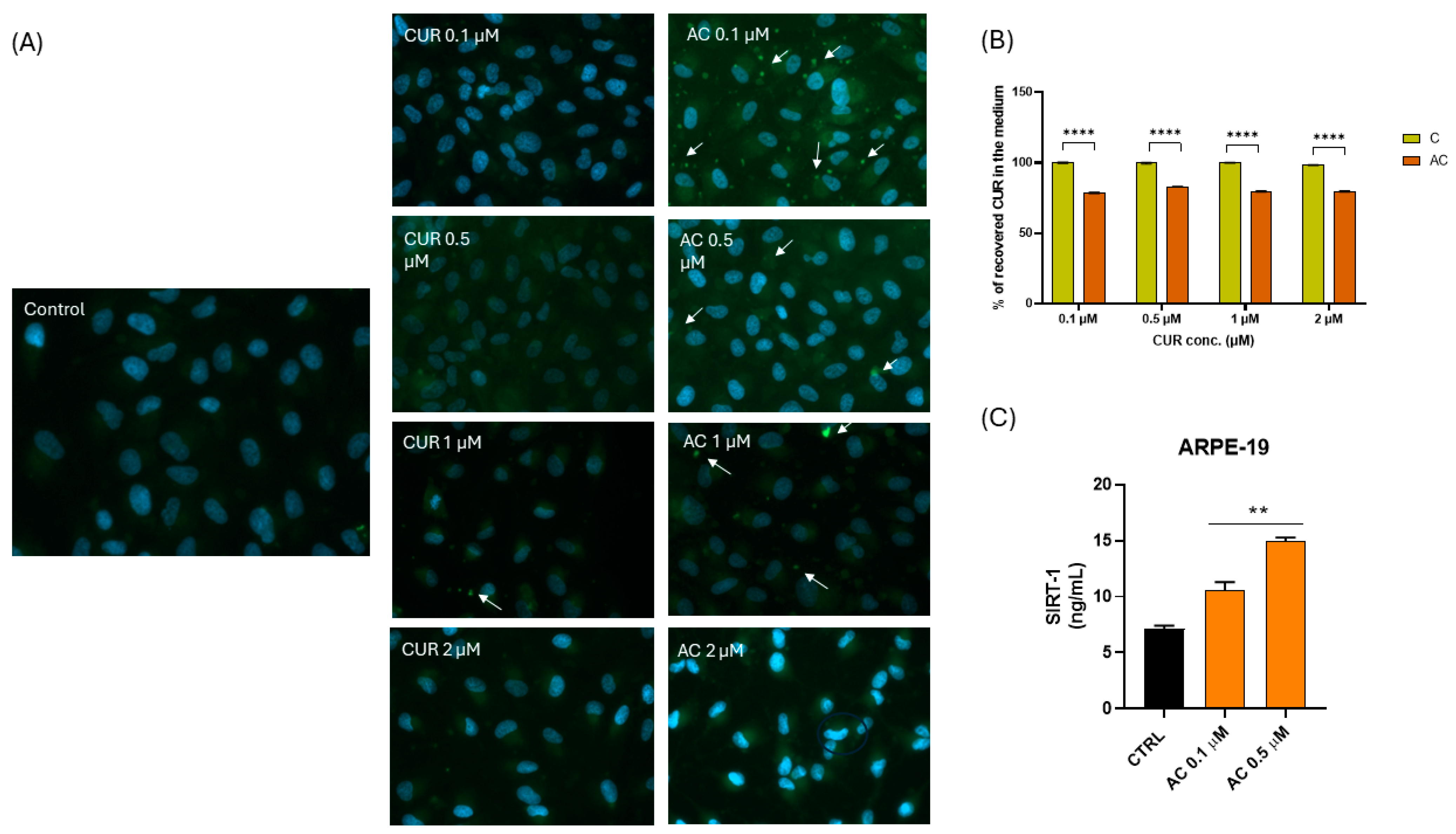 Pharmaceuticals 18 00265 g007