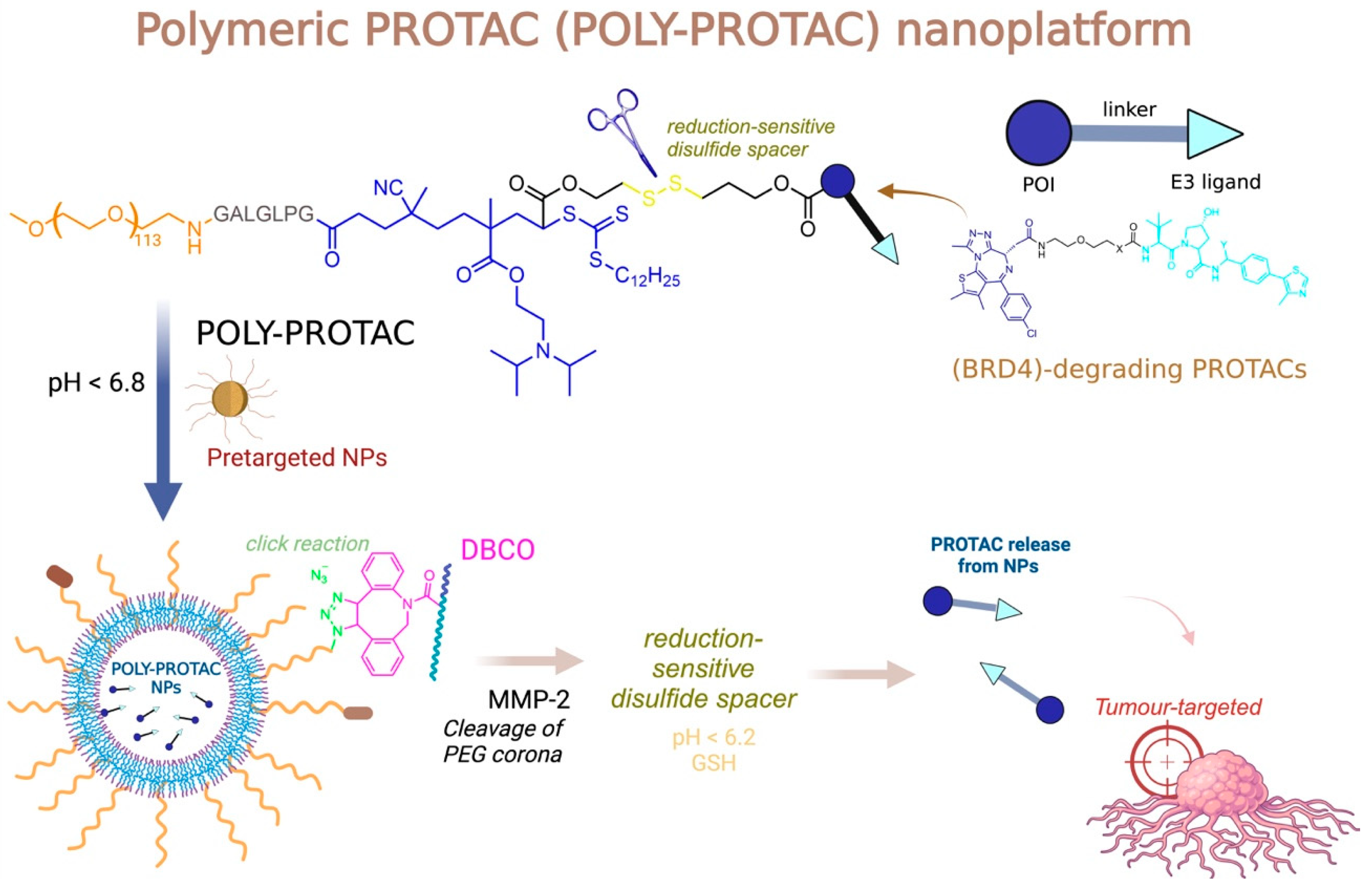 Pharmaceuticals 18 00297 g010
