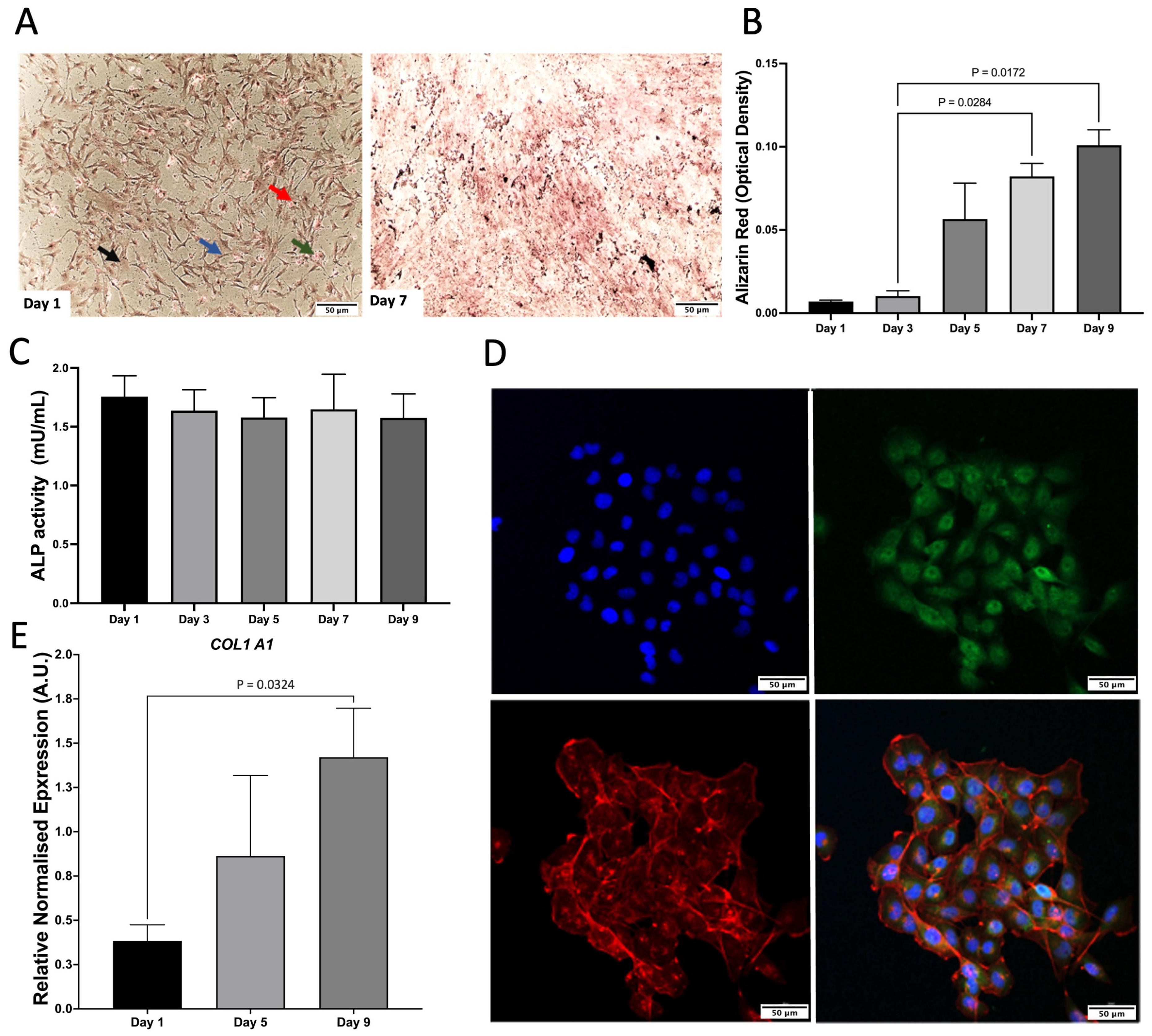Pharmaceuticals 18 00315 g001 Pharmaceuticals 18 00315 g001