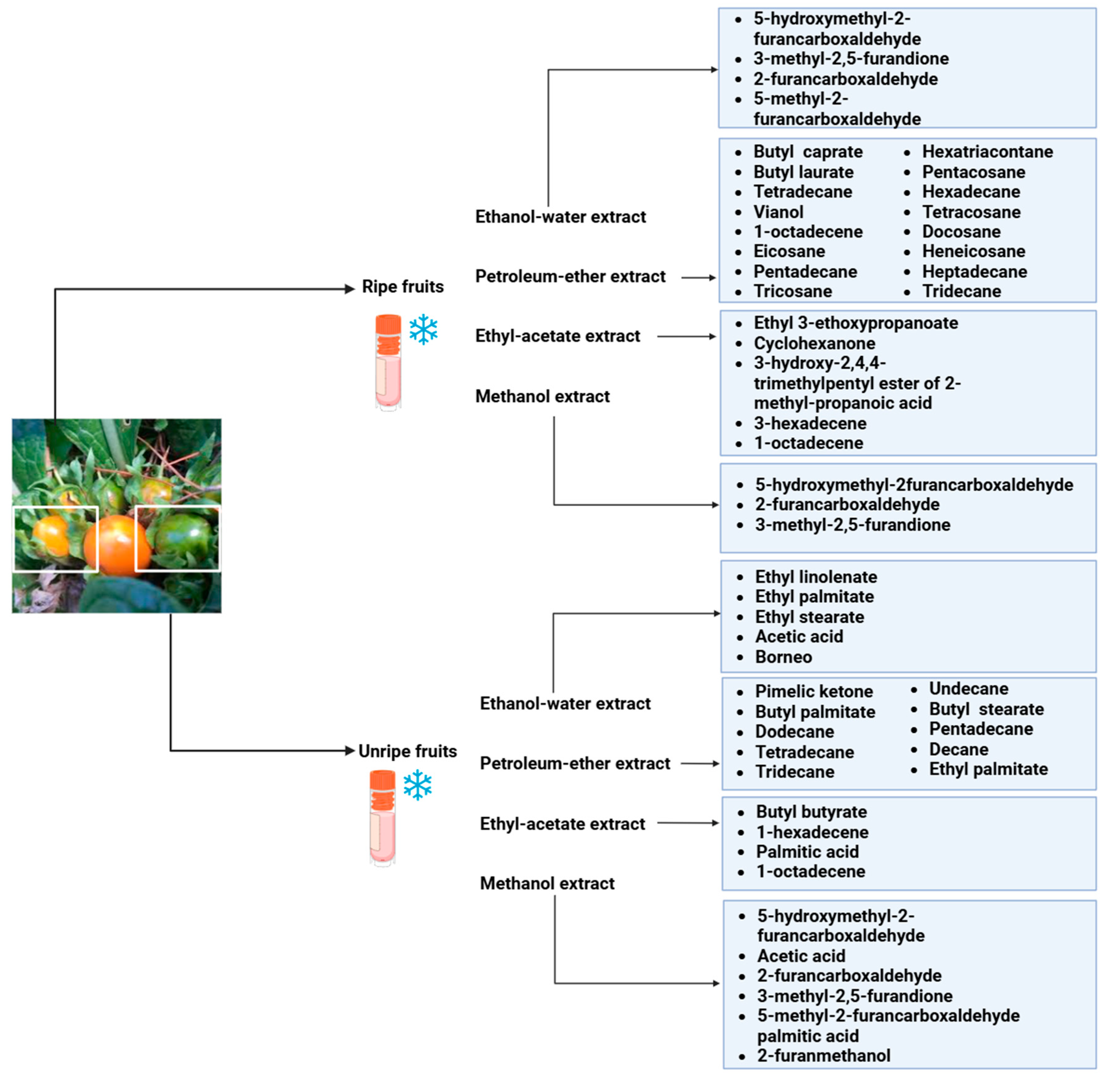 Pharmaceuticals 18 00328 g004