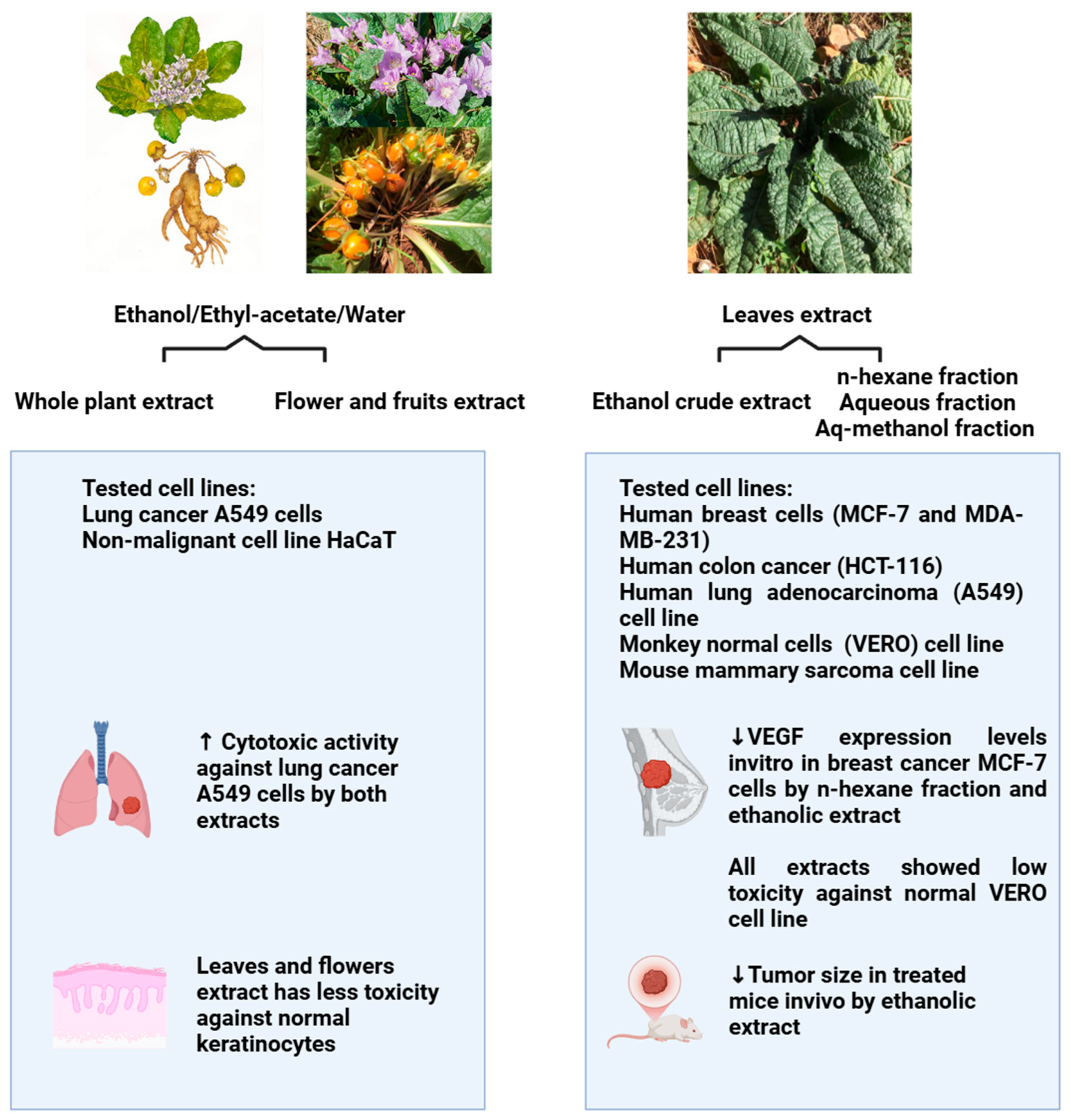 Pharmaceuticals 18 00328 g005