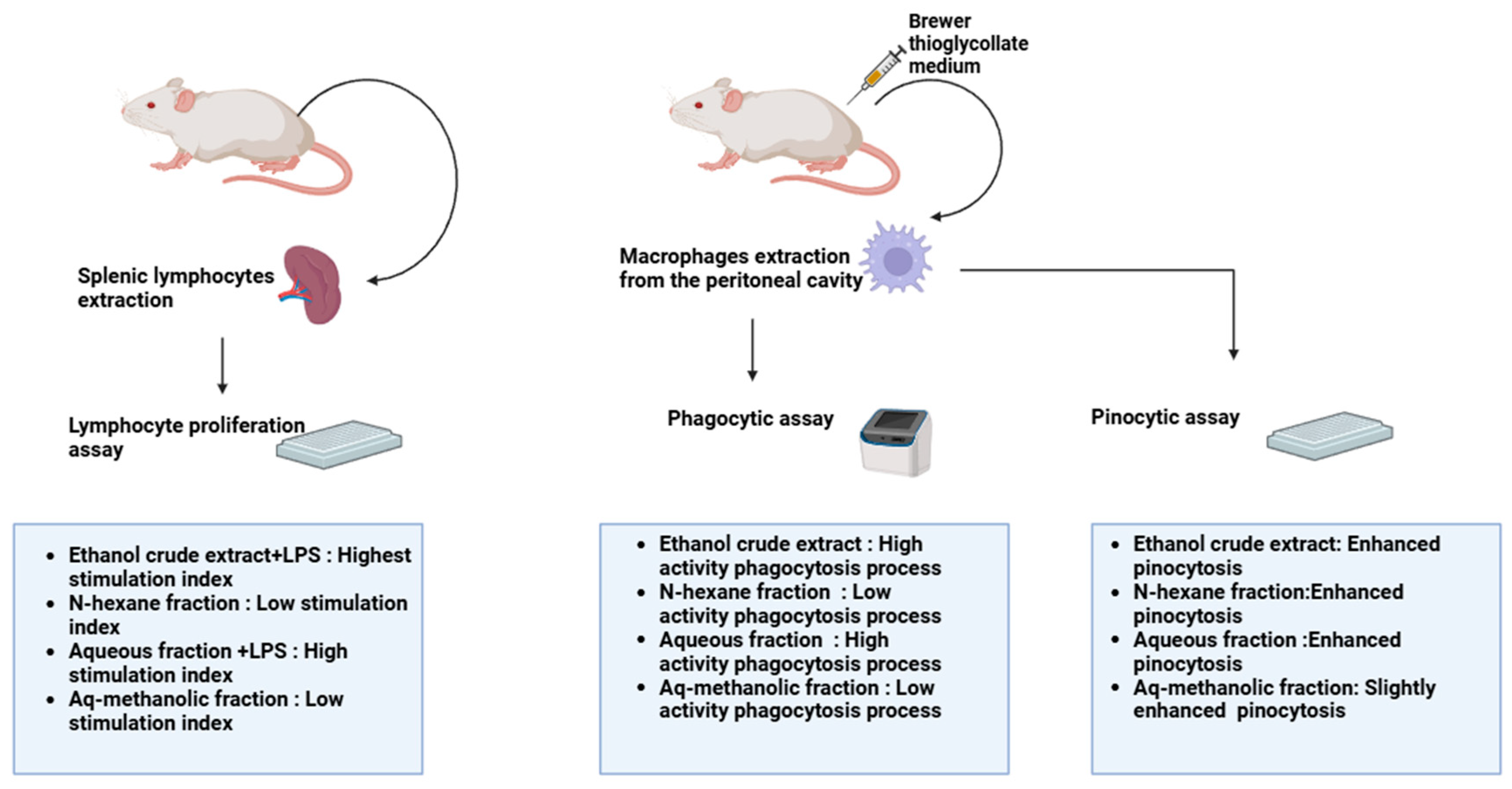 Pharmaceuticals 18 00328 g006