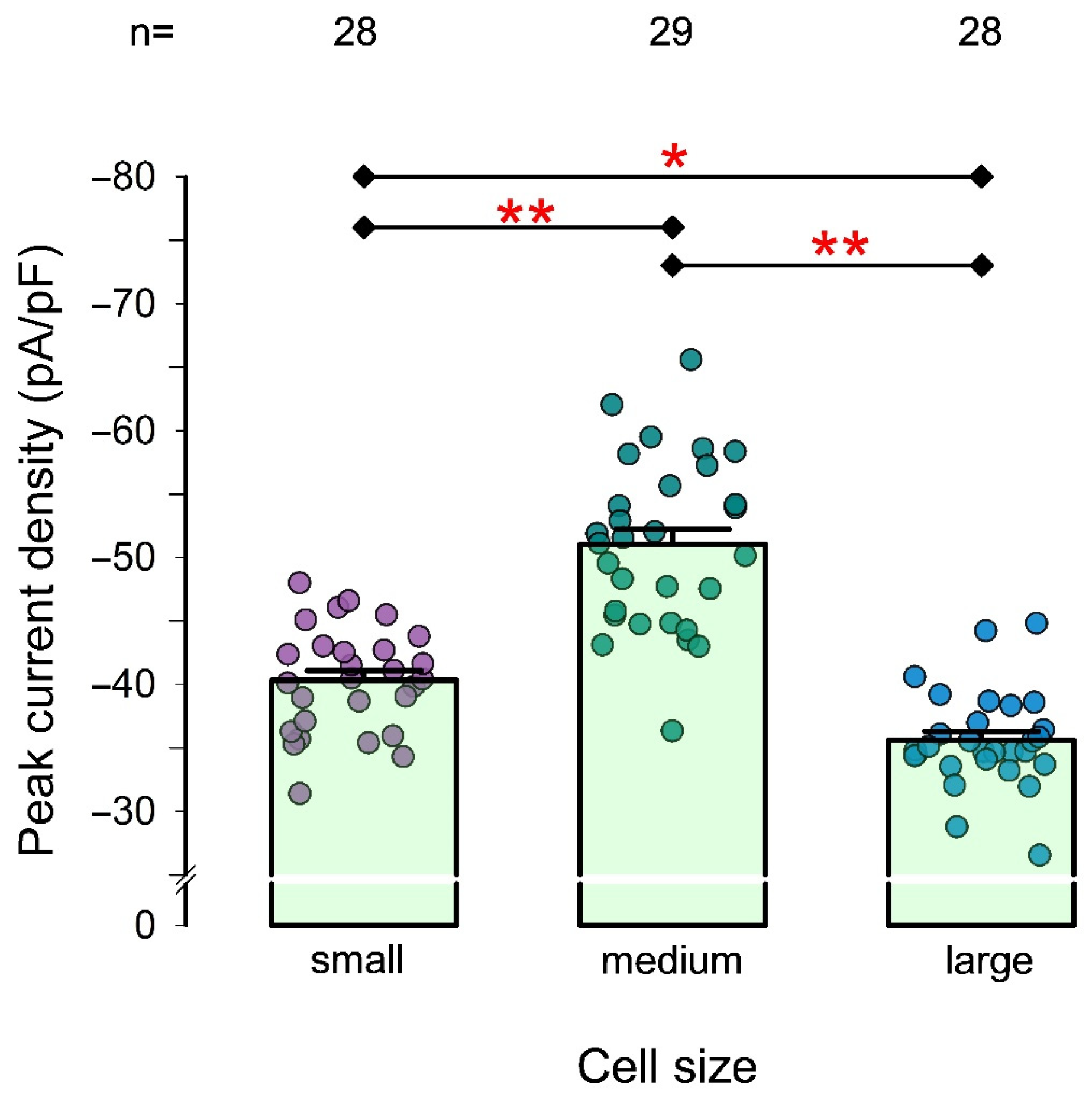Pharmaceuticals 18 00332 g004
