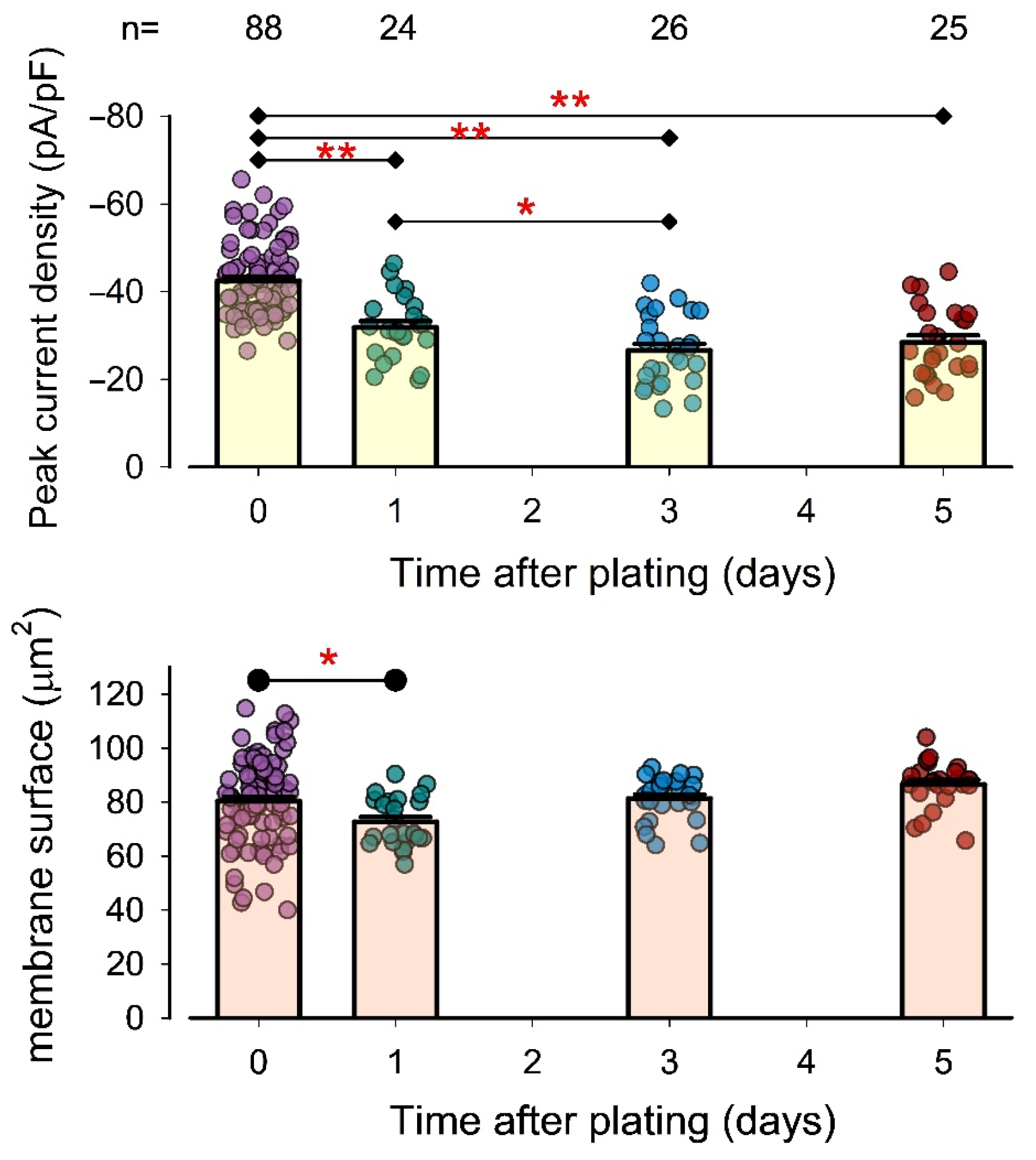 Pharmaceuticals 18 00332 g005