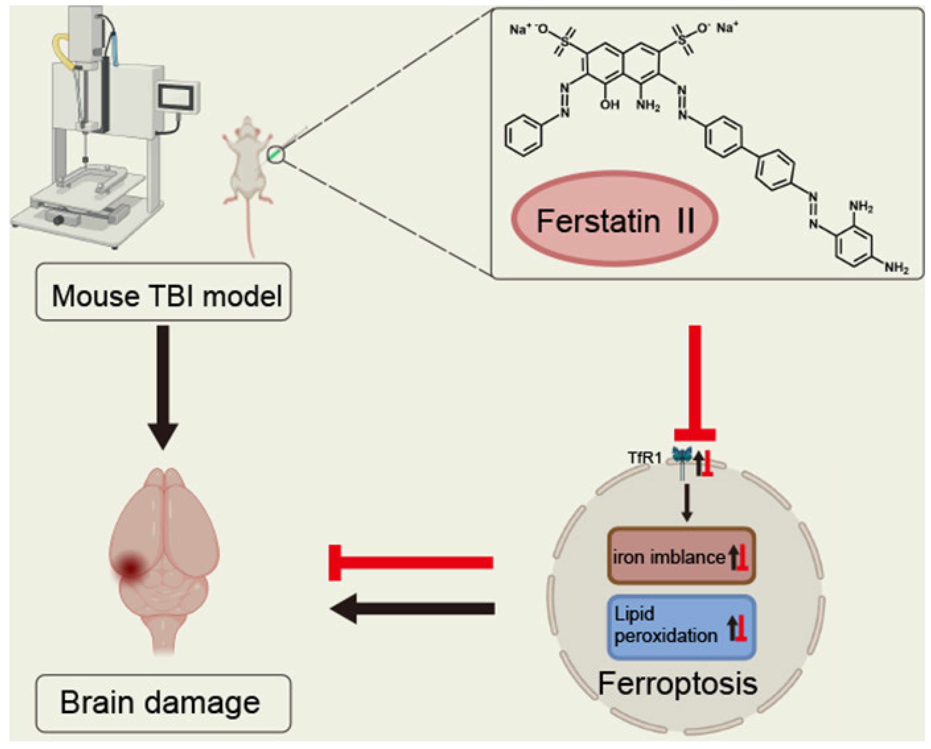 Pharmaceuticals 18 00334 g002