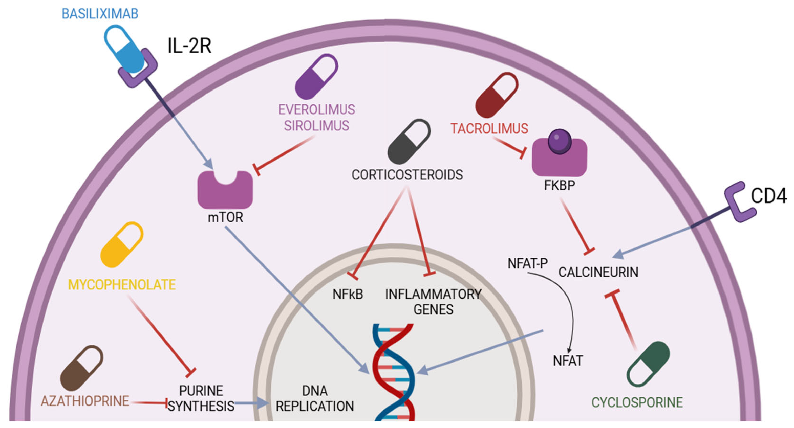 Pharmaceuticals 18 00342 g001 Pharmaceuticals 18 00342 g001