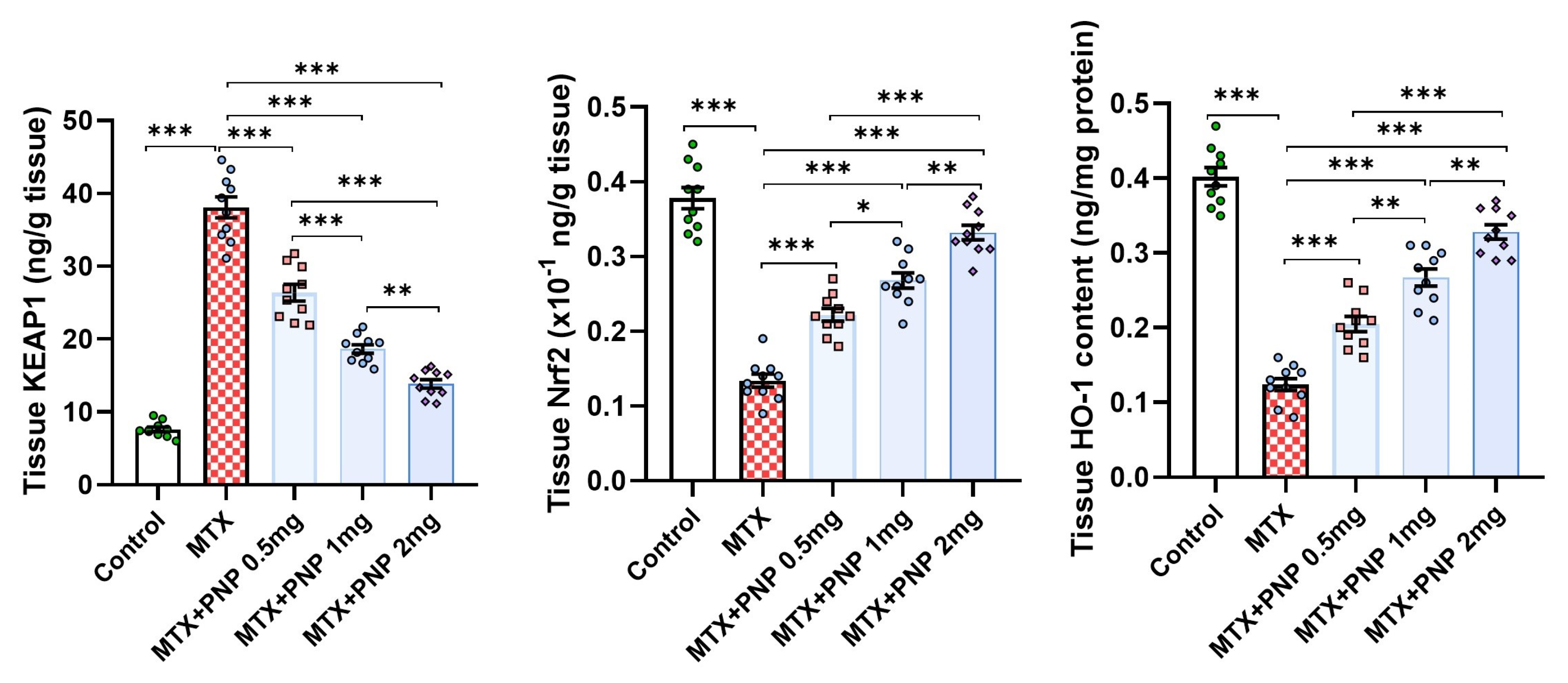 Pharmaceuticals 18 00358 g005