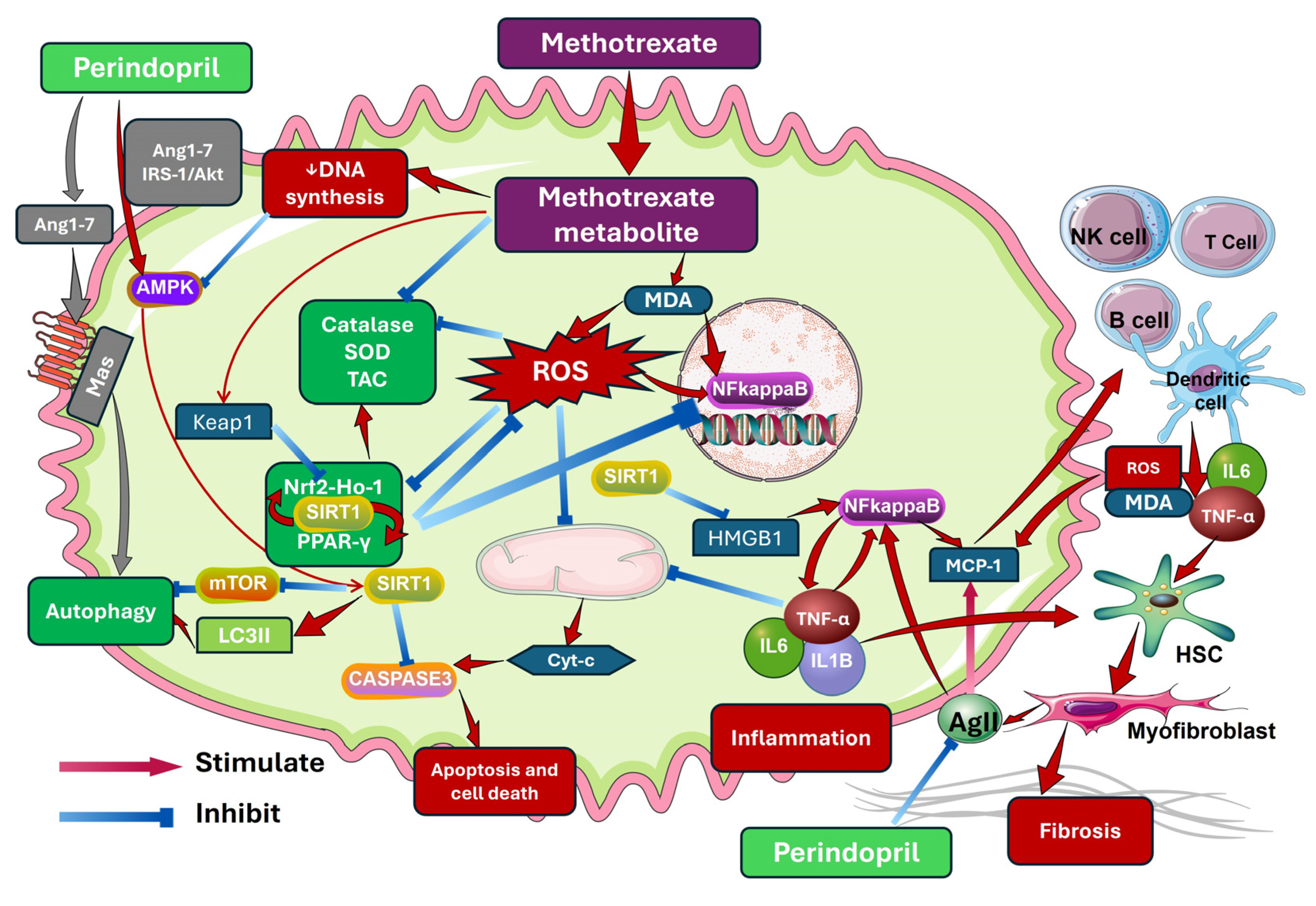 Pharmaceuticals 18 00358 g013