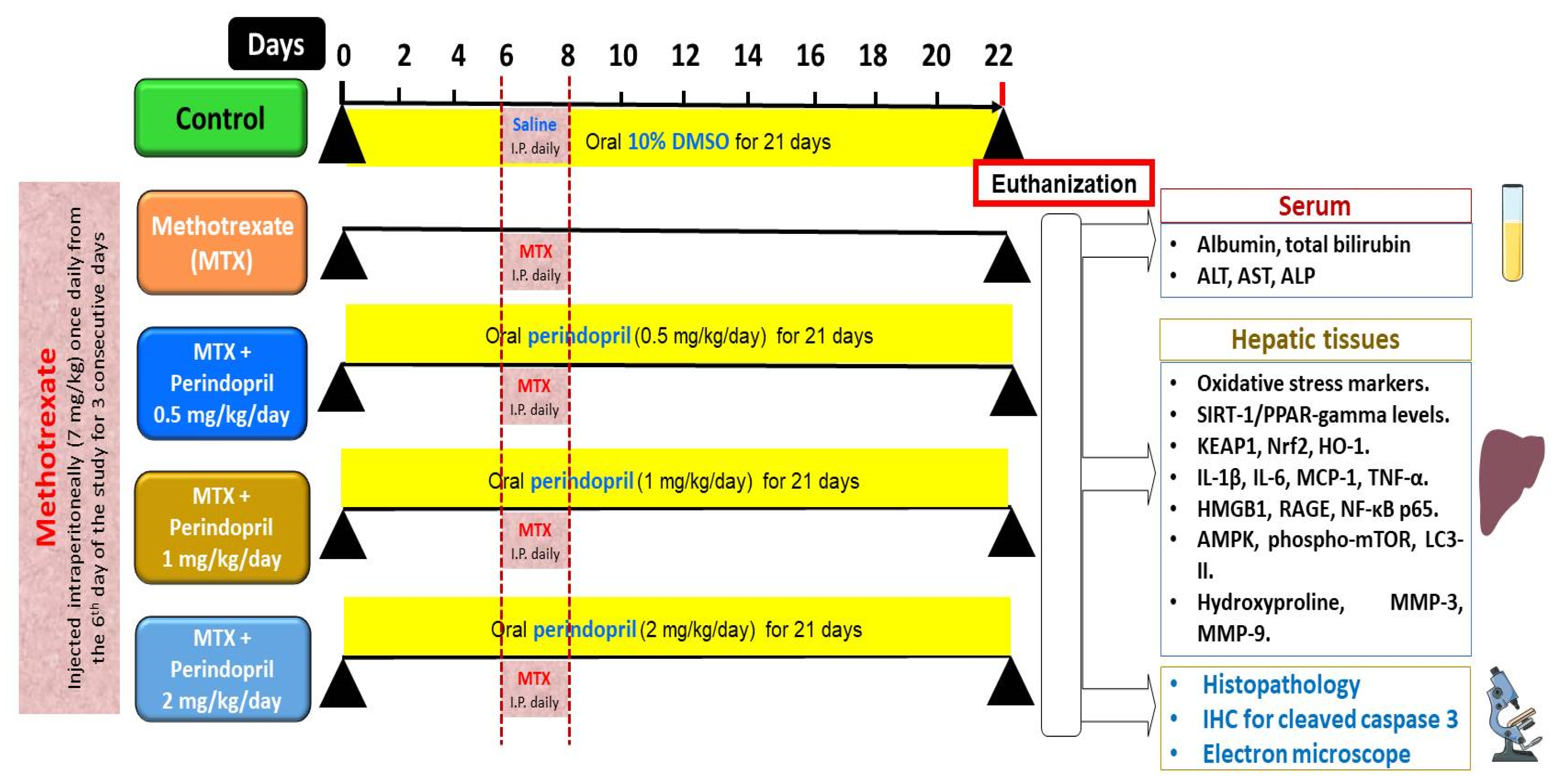 Pharmaceuticals 18 00358 g014