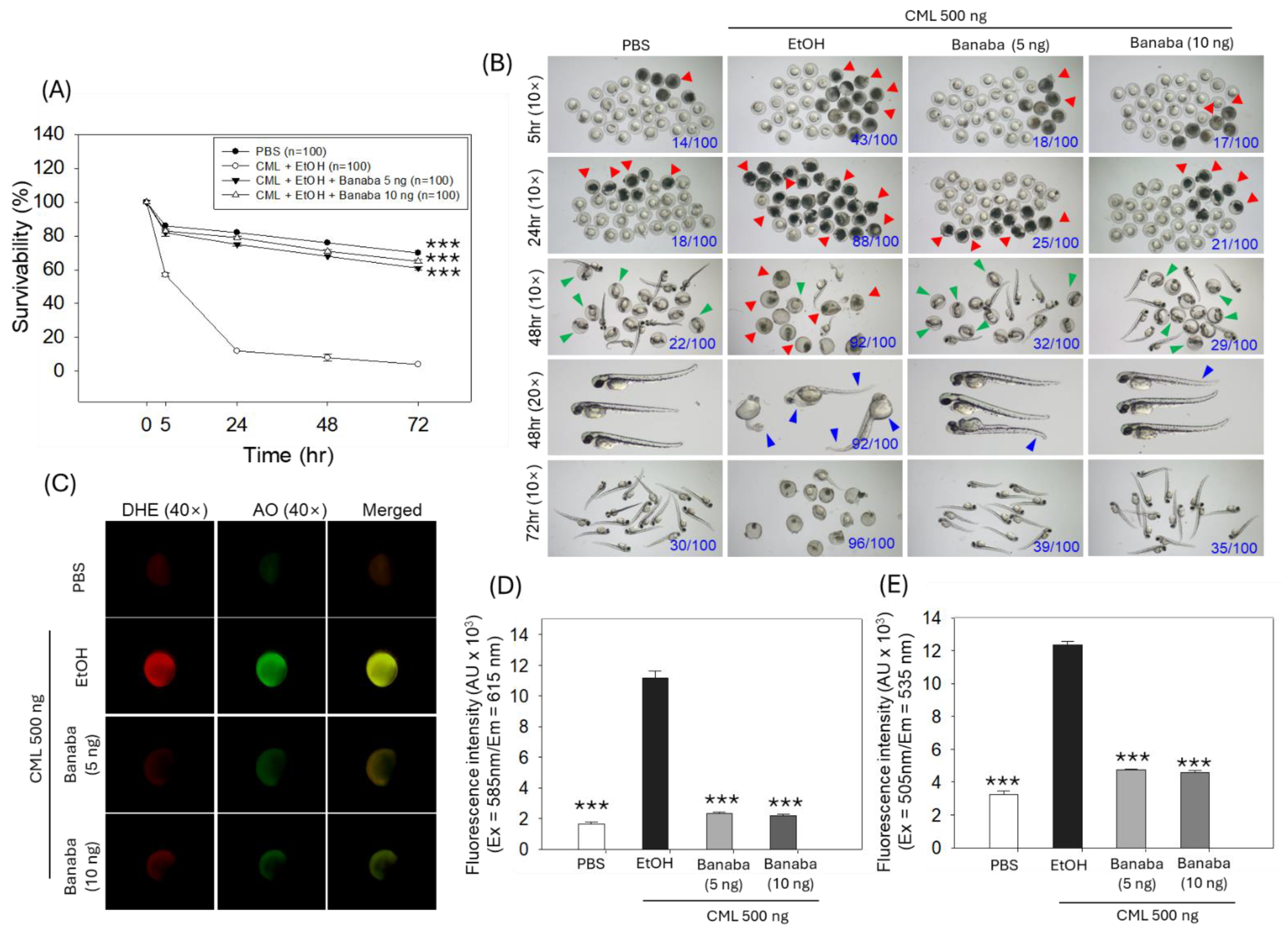 Pharmaceuticals 18 00362 g001