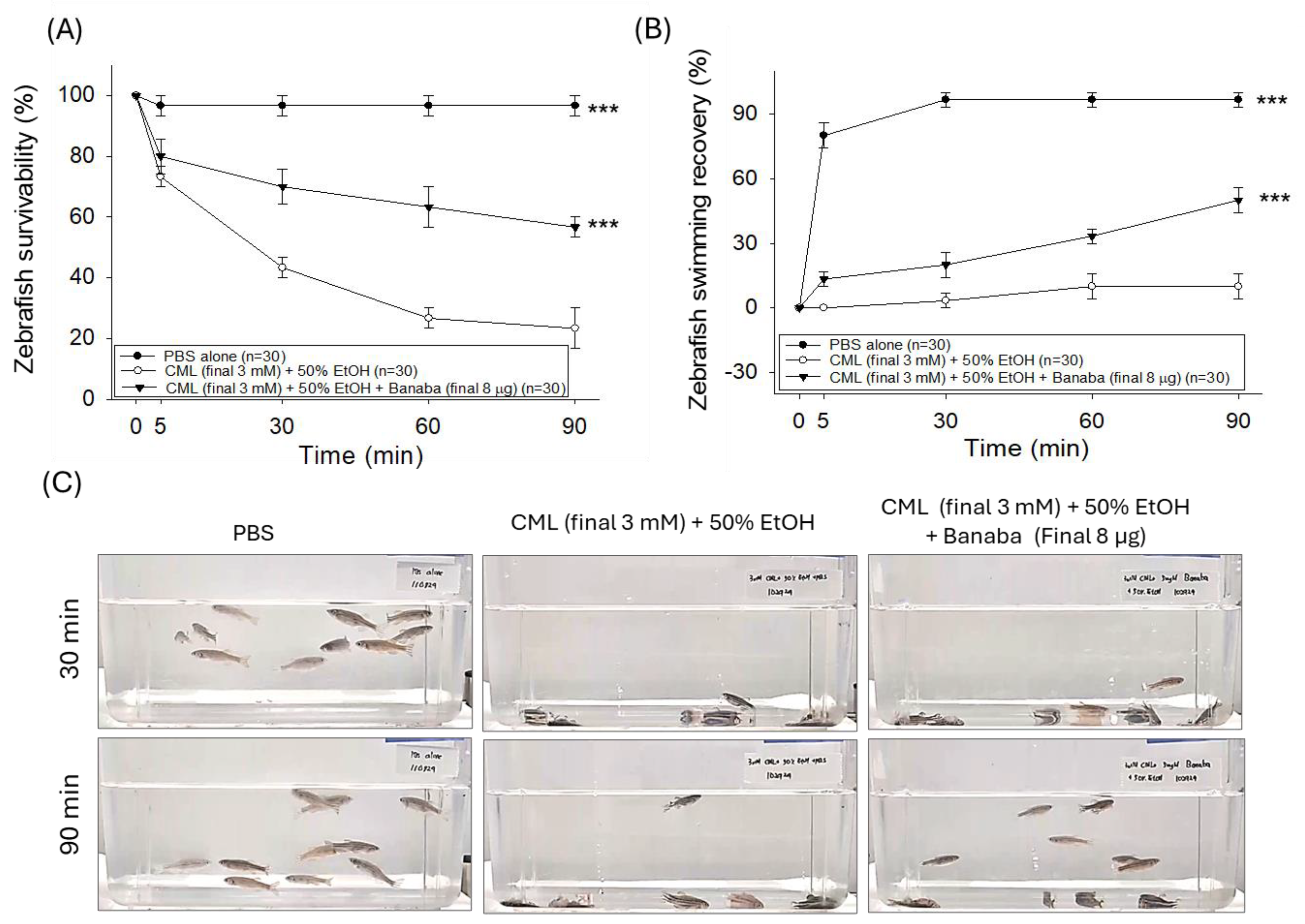 Pharmaceuticals 18 00362 g002