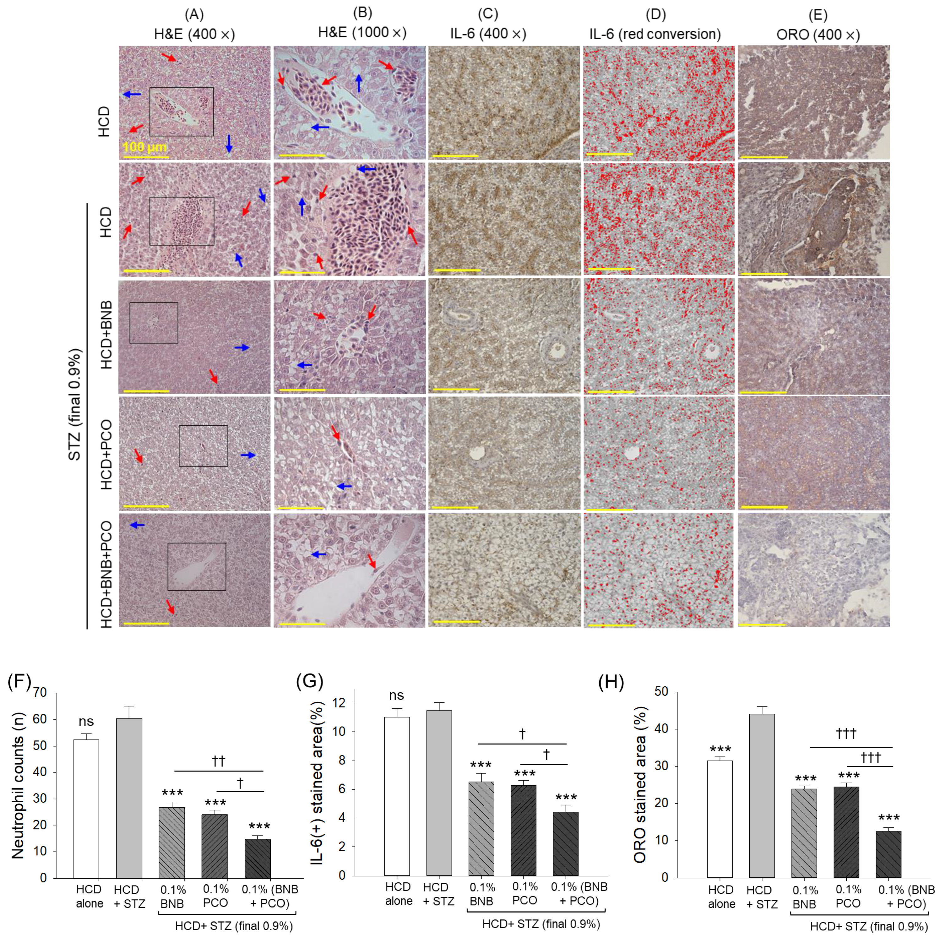 Pharmaceuticals 18 00362 g006