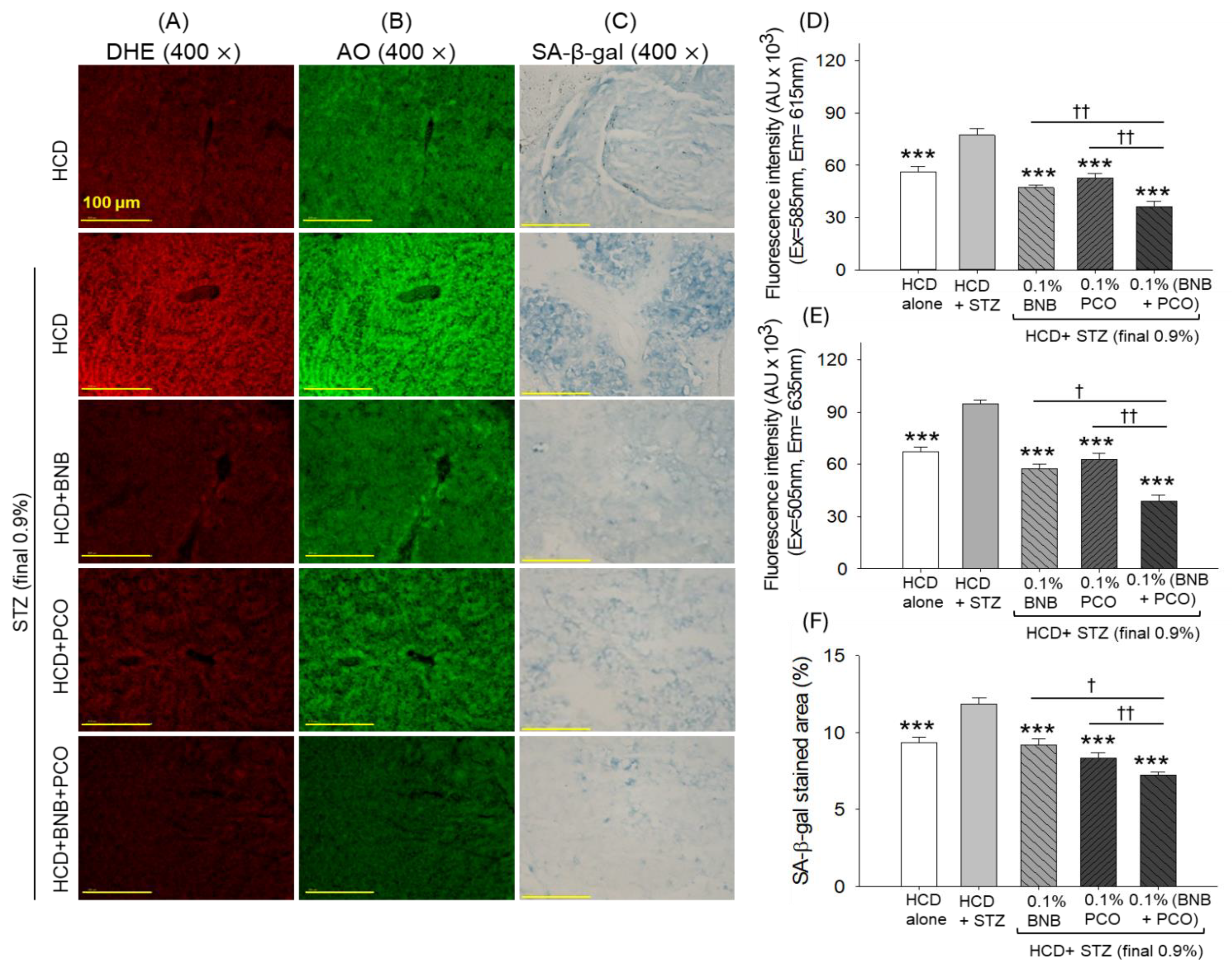 Pharmaceuticals 18 00362 g007