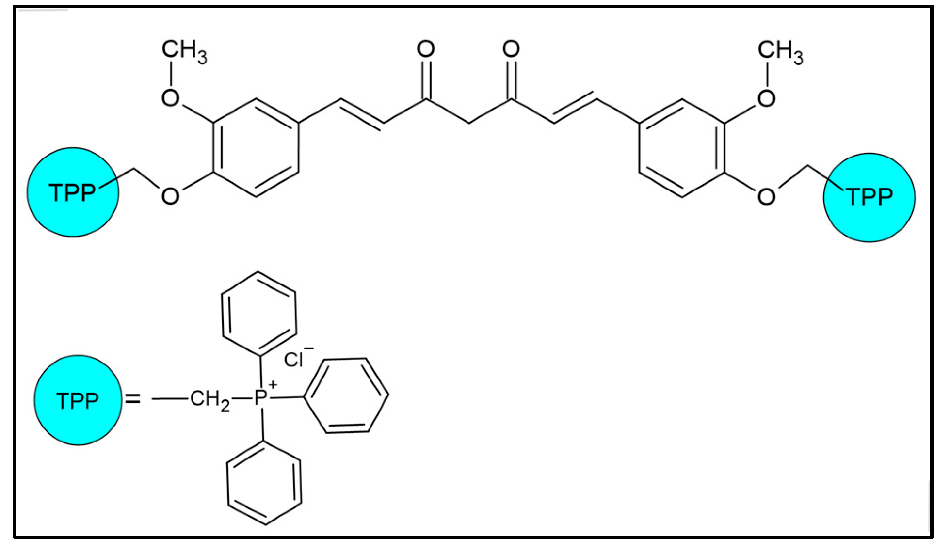 Pharmaceuticals 18 00382 g006