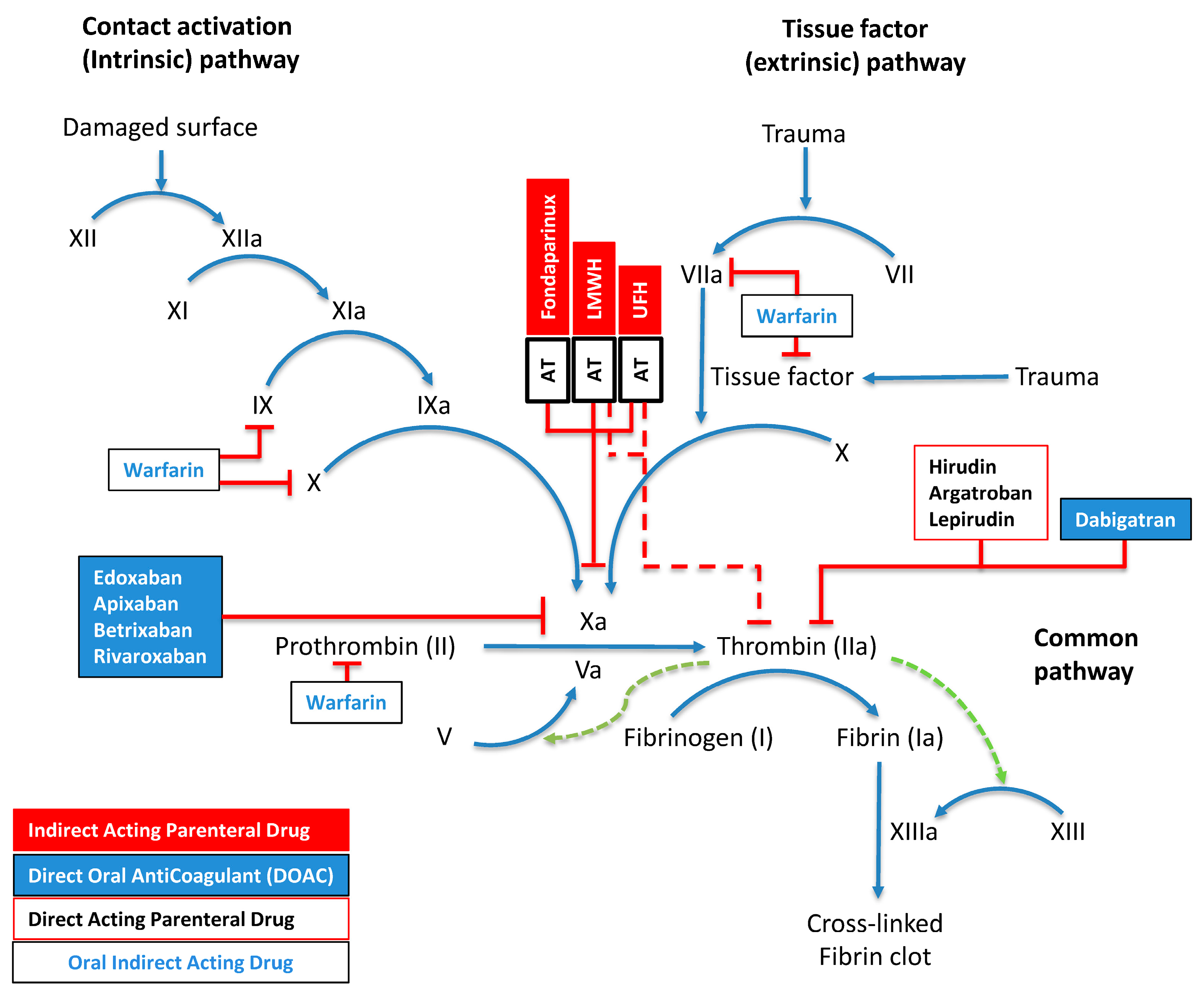 Pharmaceuticals 18 00396 g002 Pharmaceuticals 18 00396 g002