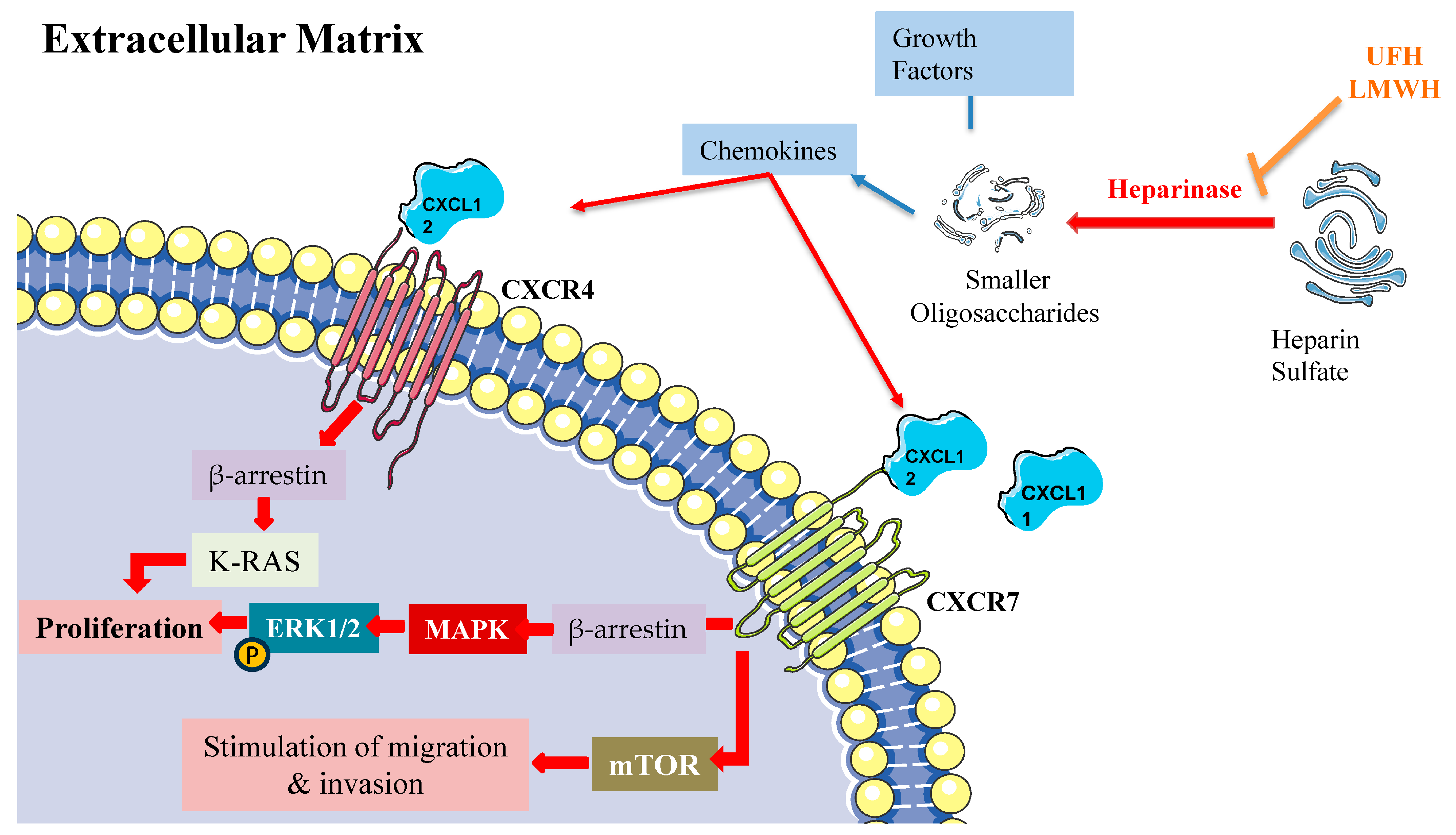 Pharmaceuticals 18 00396 g003 Pharmaceuticals 18 00396 g003