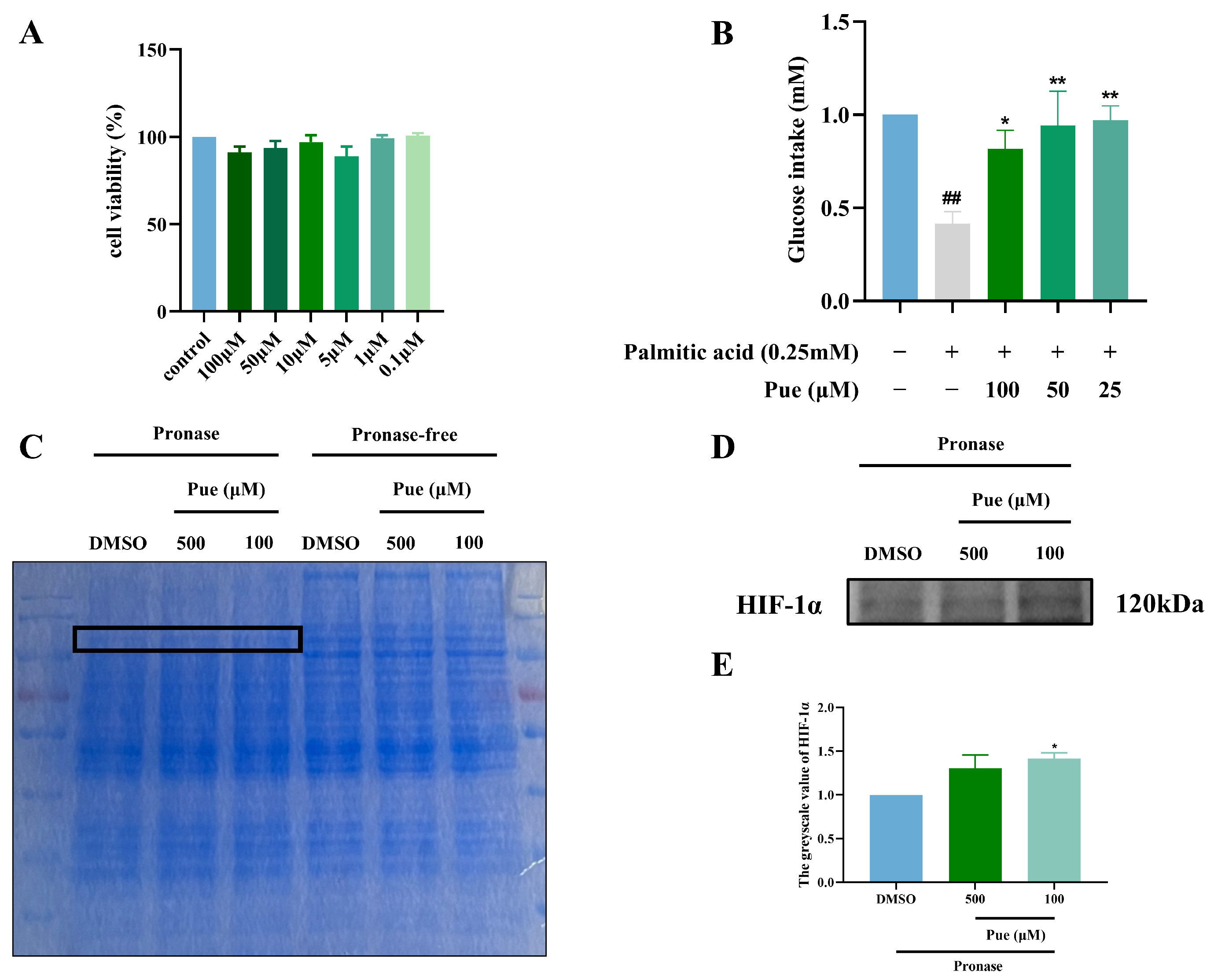 Pharmaceuticals 18 00398 g002