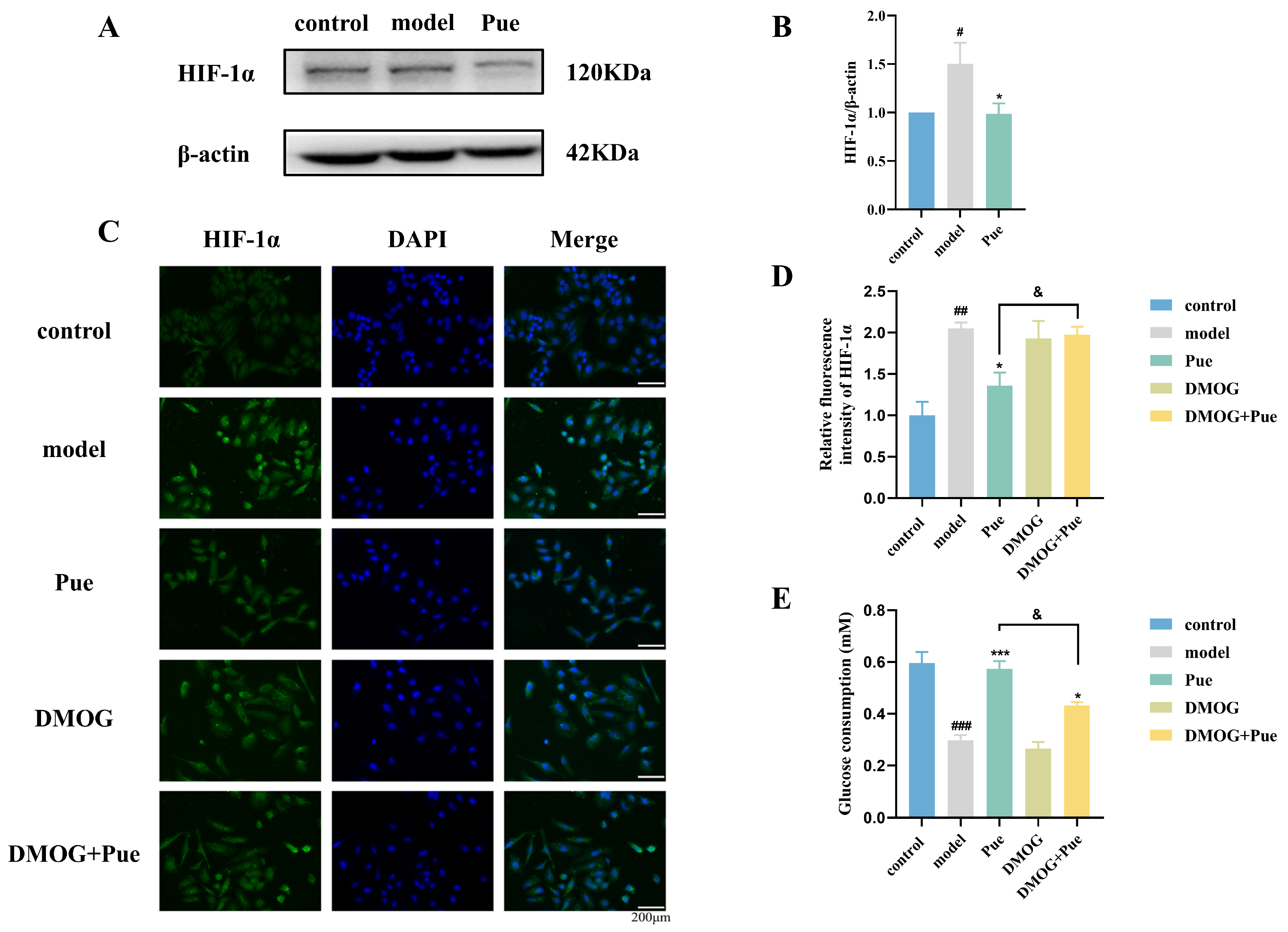 Pharmaceuticals 18 00398 g003