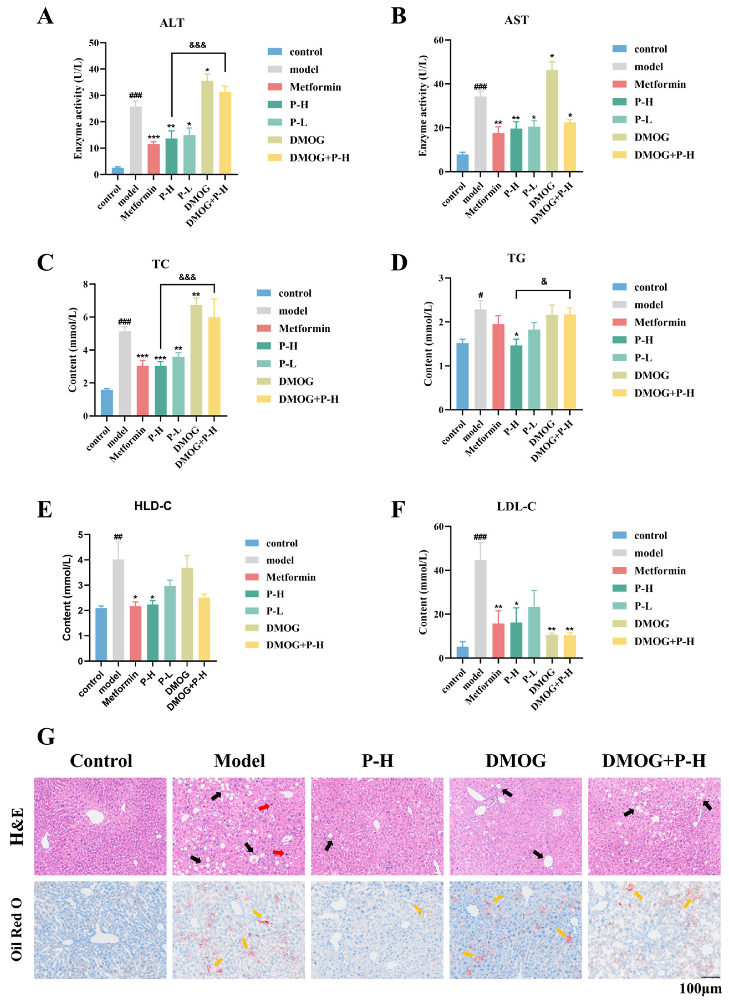 Pharmaceuticals 18 00398 g005
