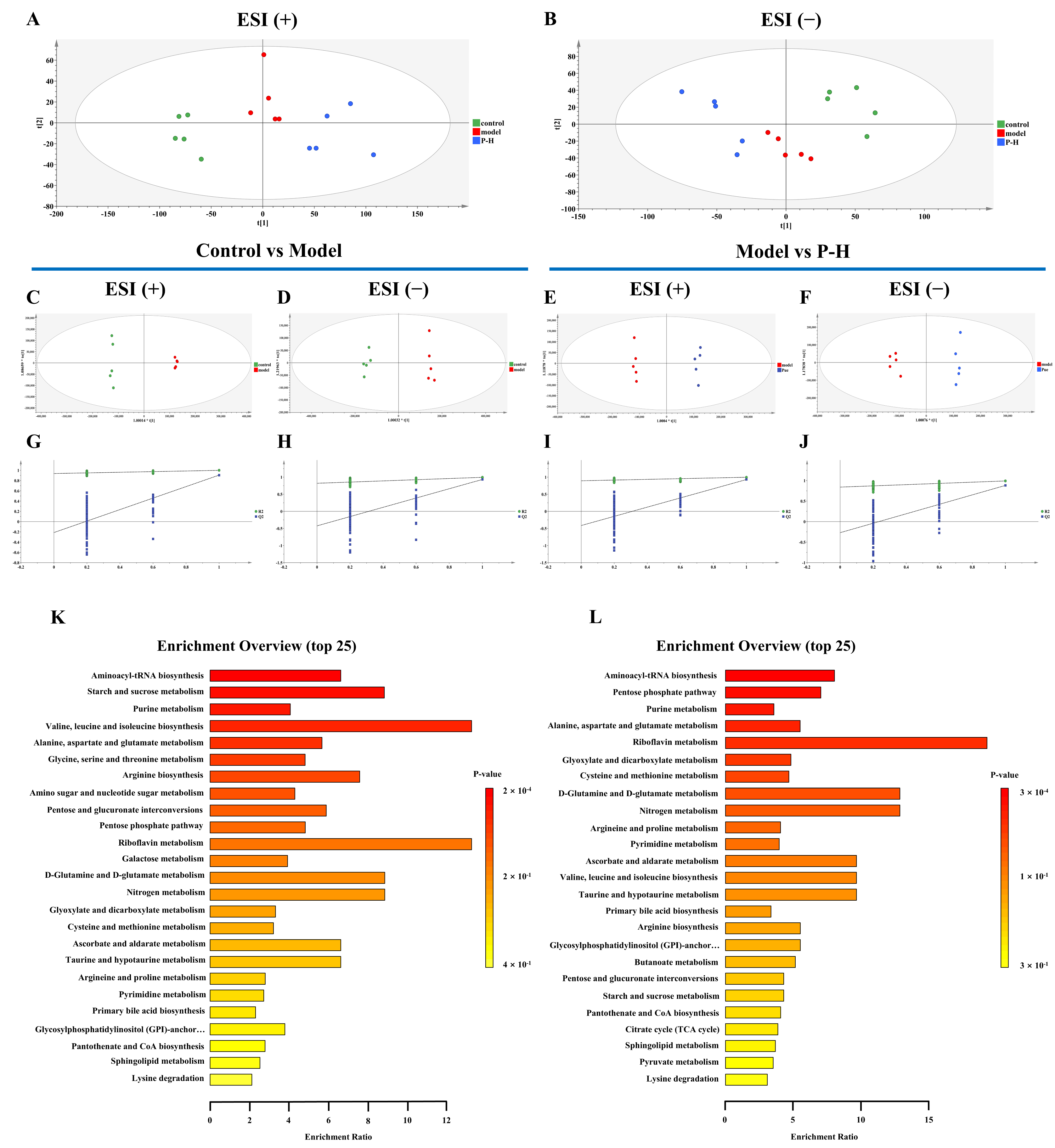 Pharmaceuticals 18 00398 g006