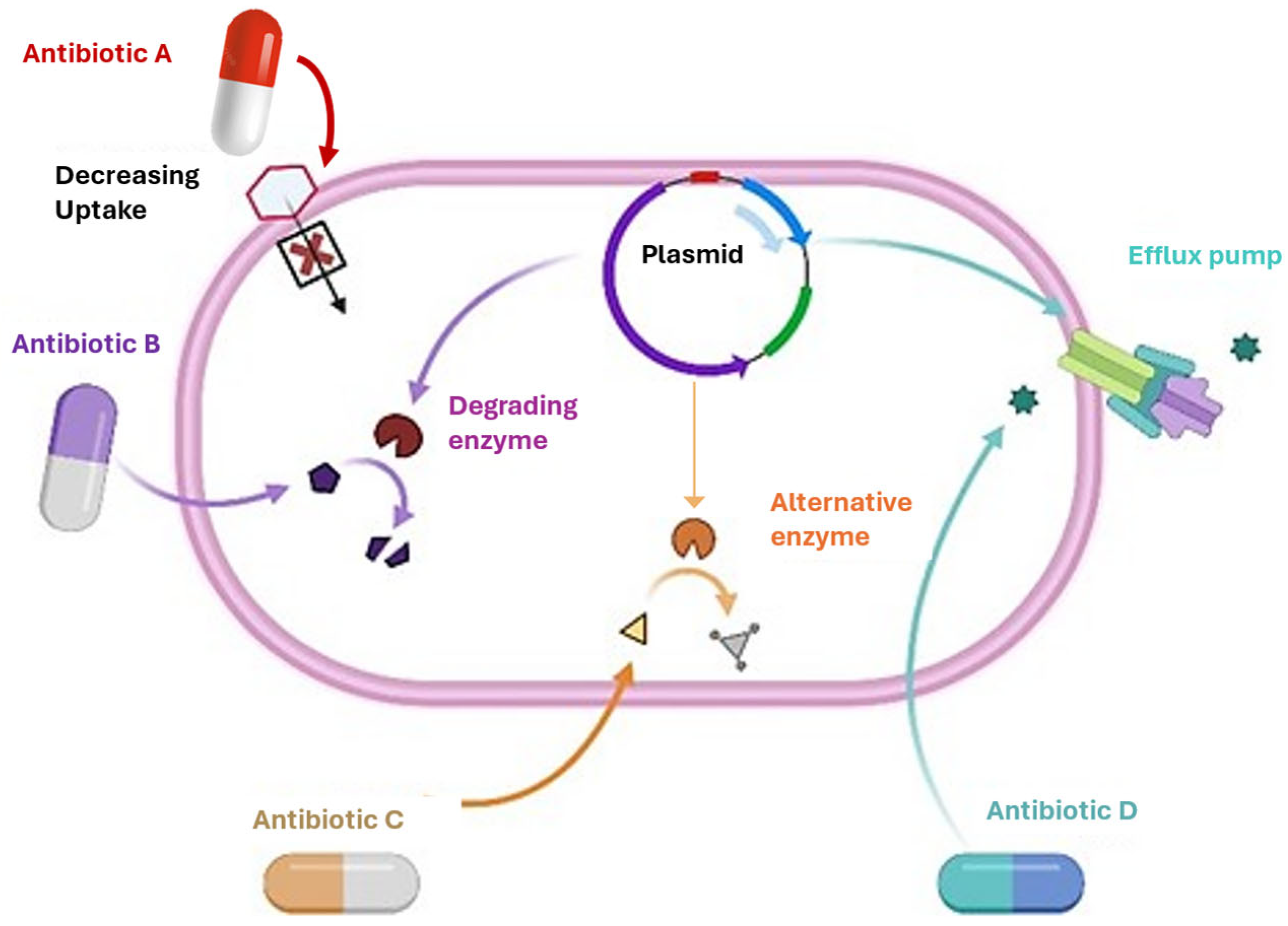 Pharmaceuticals 18 00402 g001