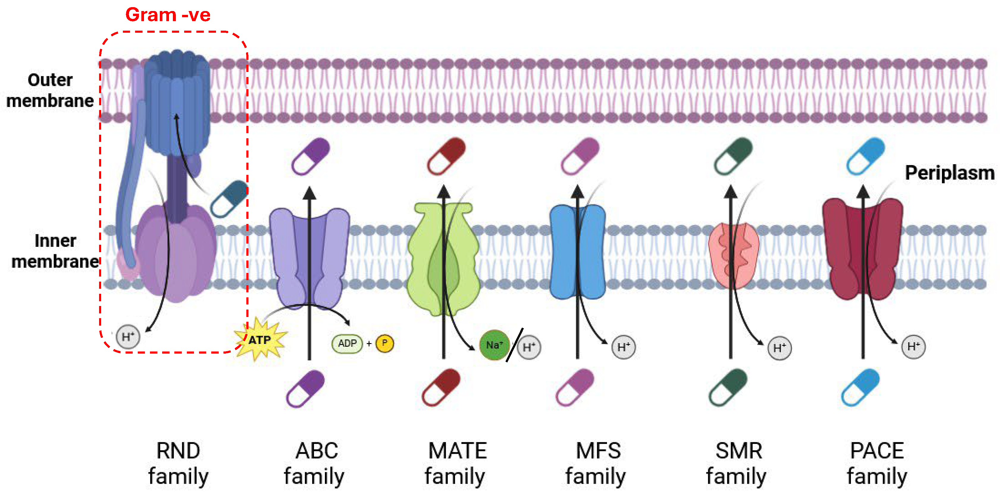 Pharmaceuticals 18 00402 g002
