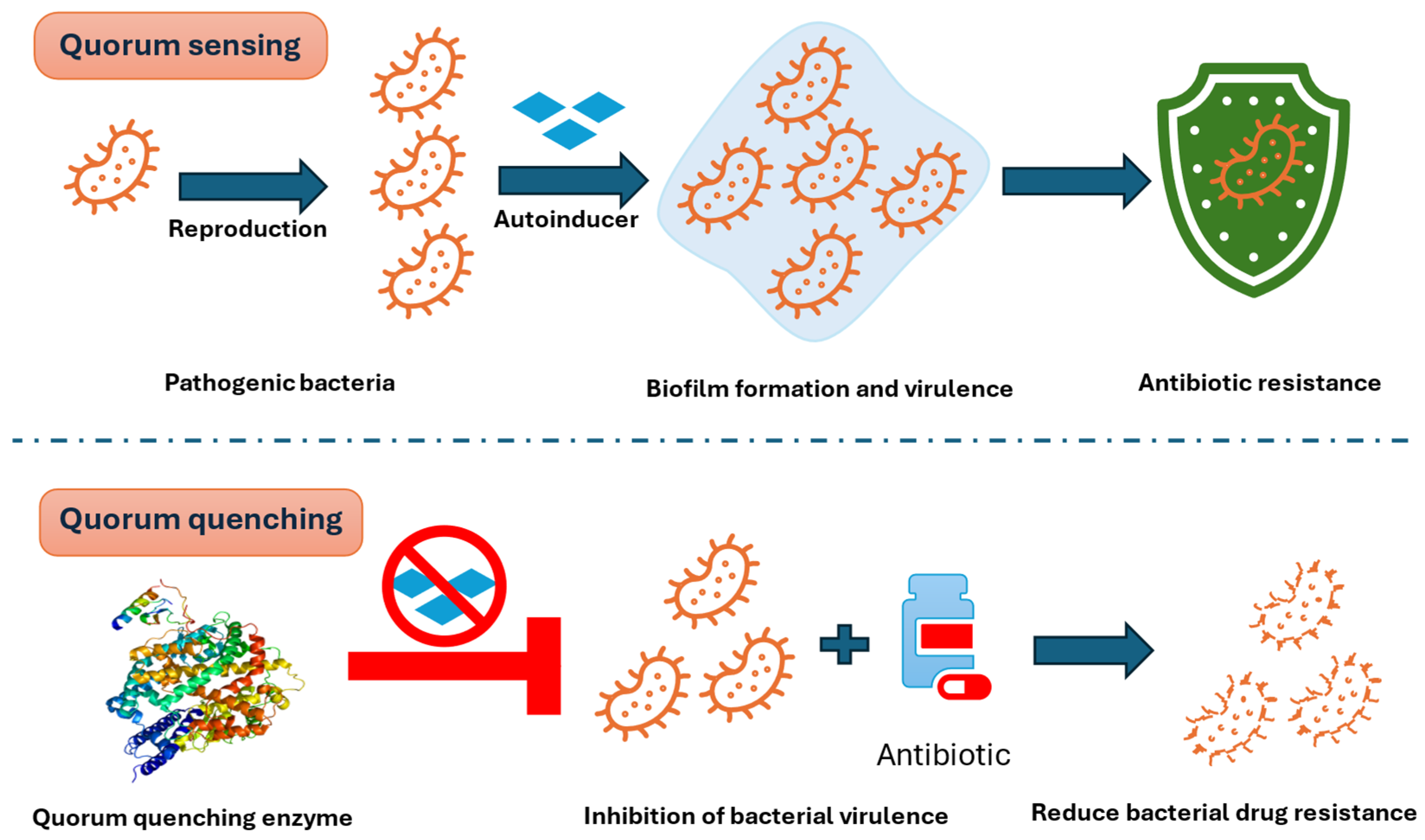 Pharmaceuticals 18 00402 g003