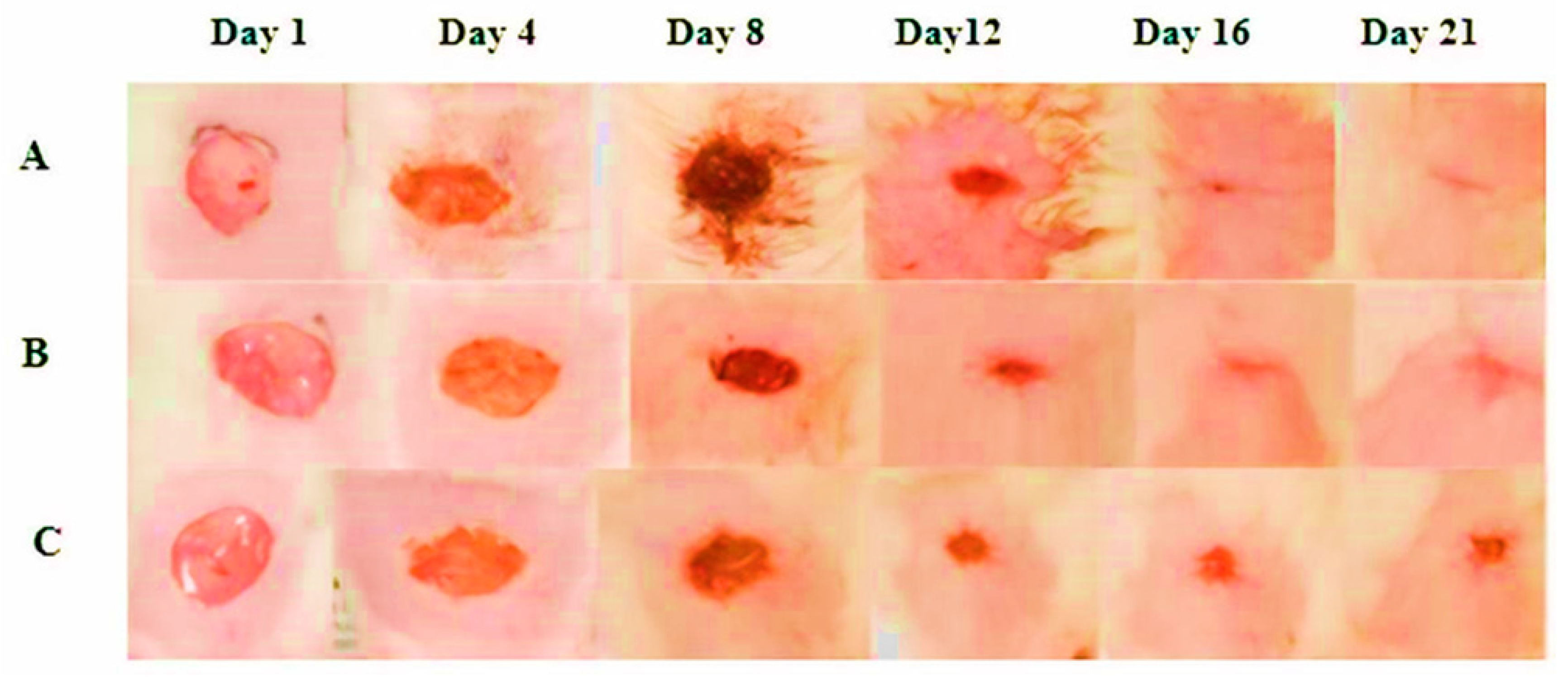 Pharmaceuticals 18 00407 g002