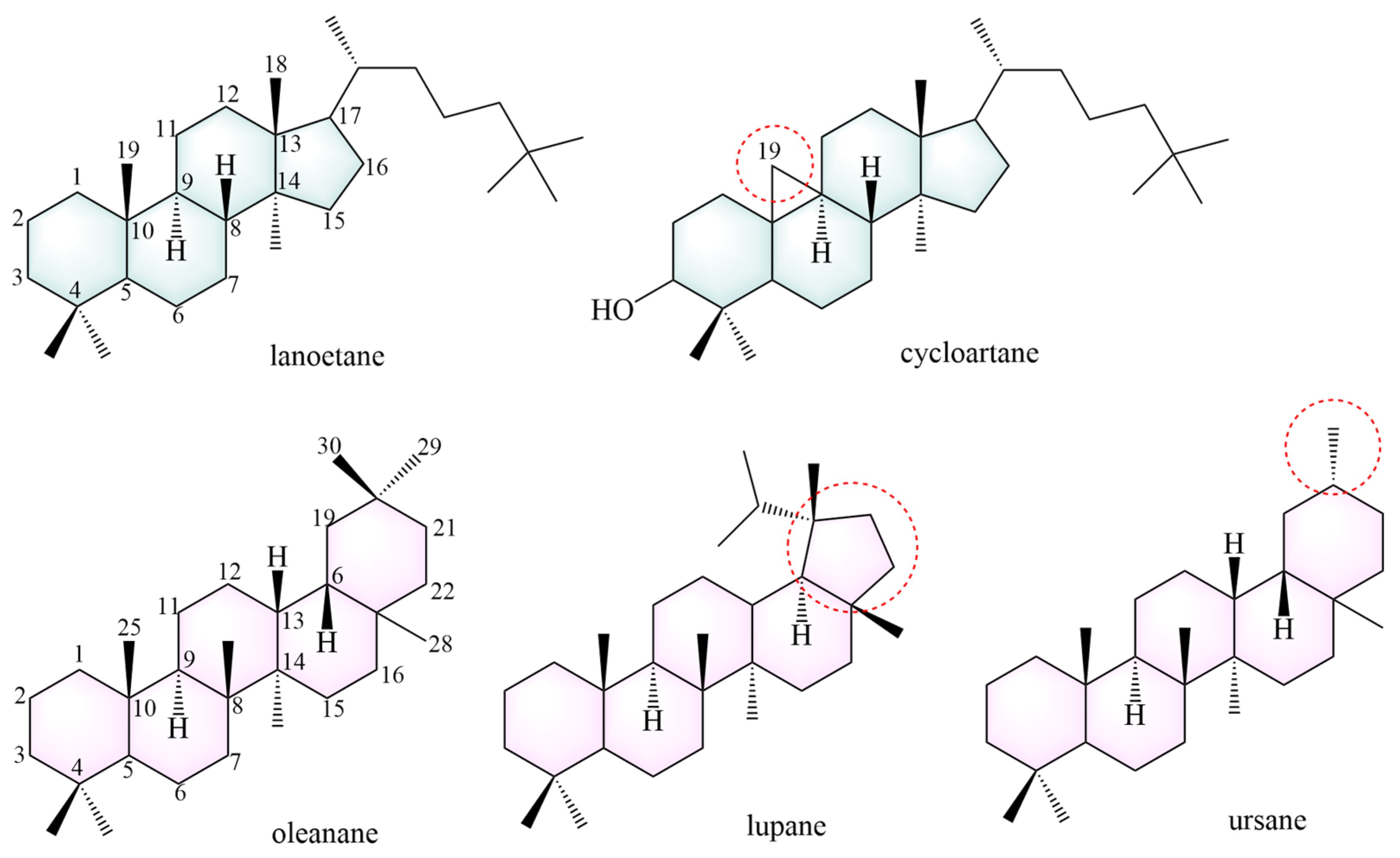 Pharmaceuticals 18 00413 g004