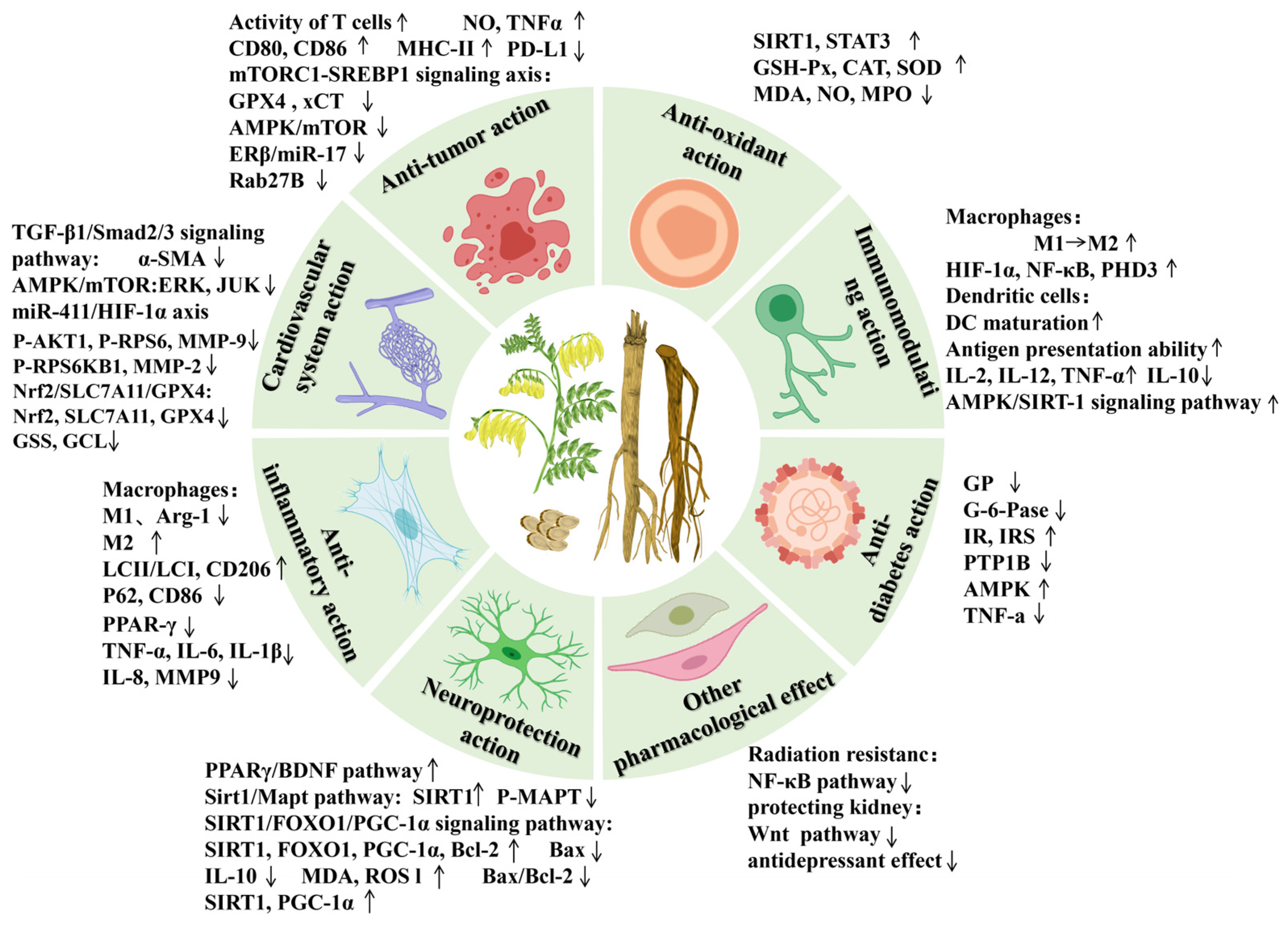 Pharmaceuticals 18 00413 g007