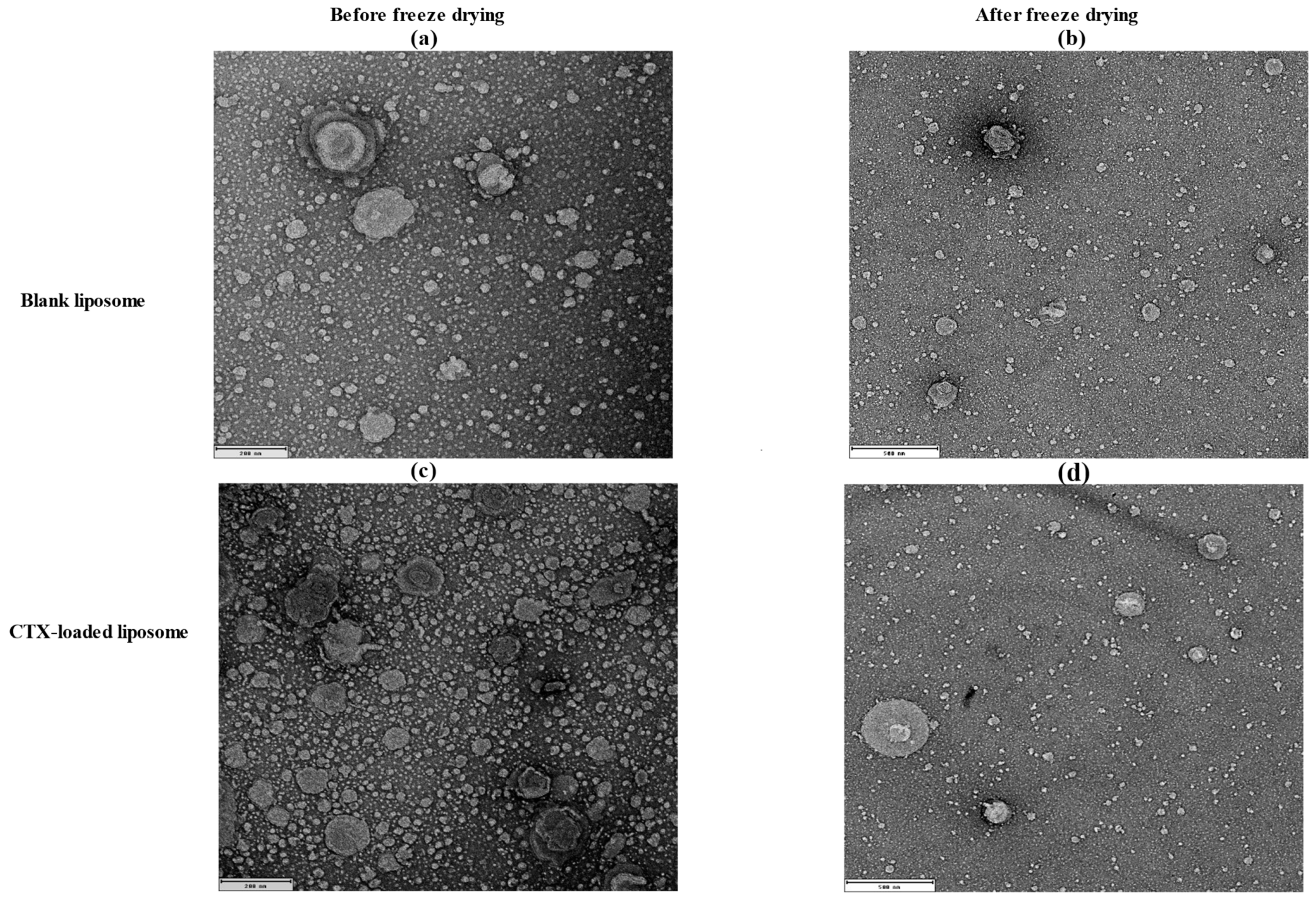 Pharmaceuticals 18 00414 g001