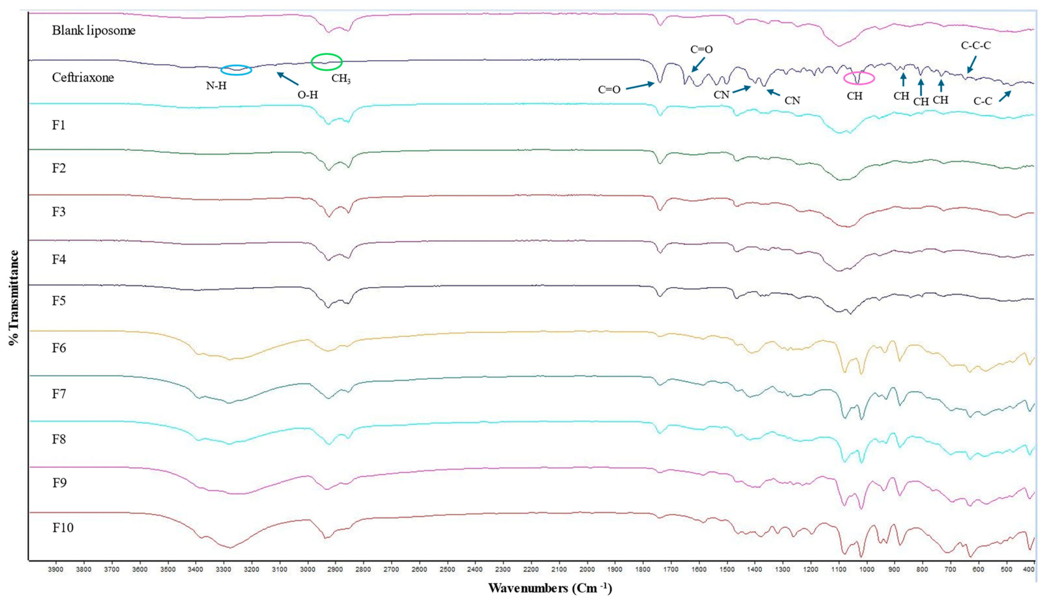 Pharmaceuticals 18 00414 g003