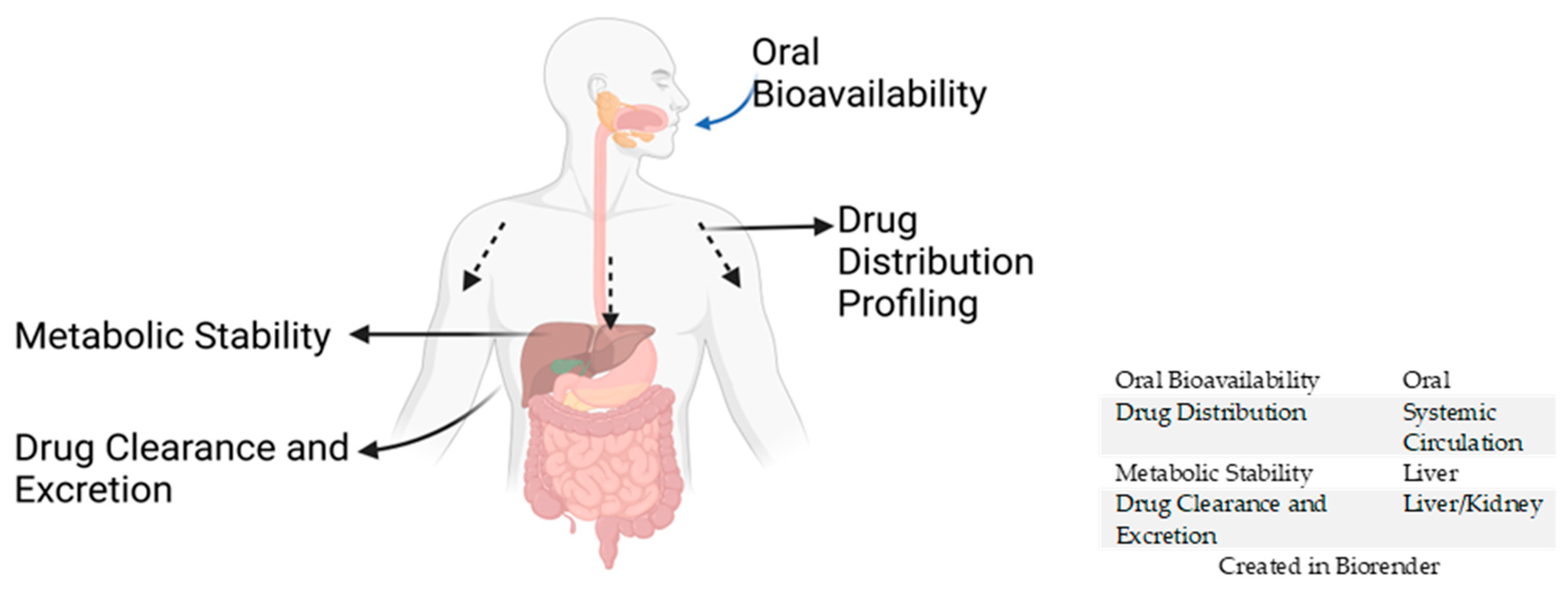 Pharmaceuticals 18 00424 g003