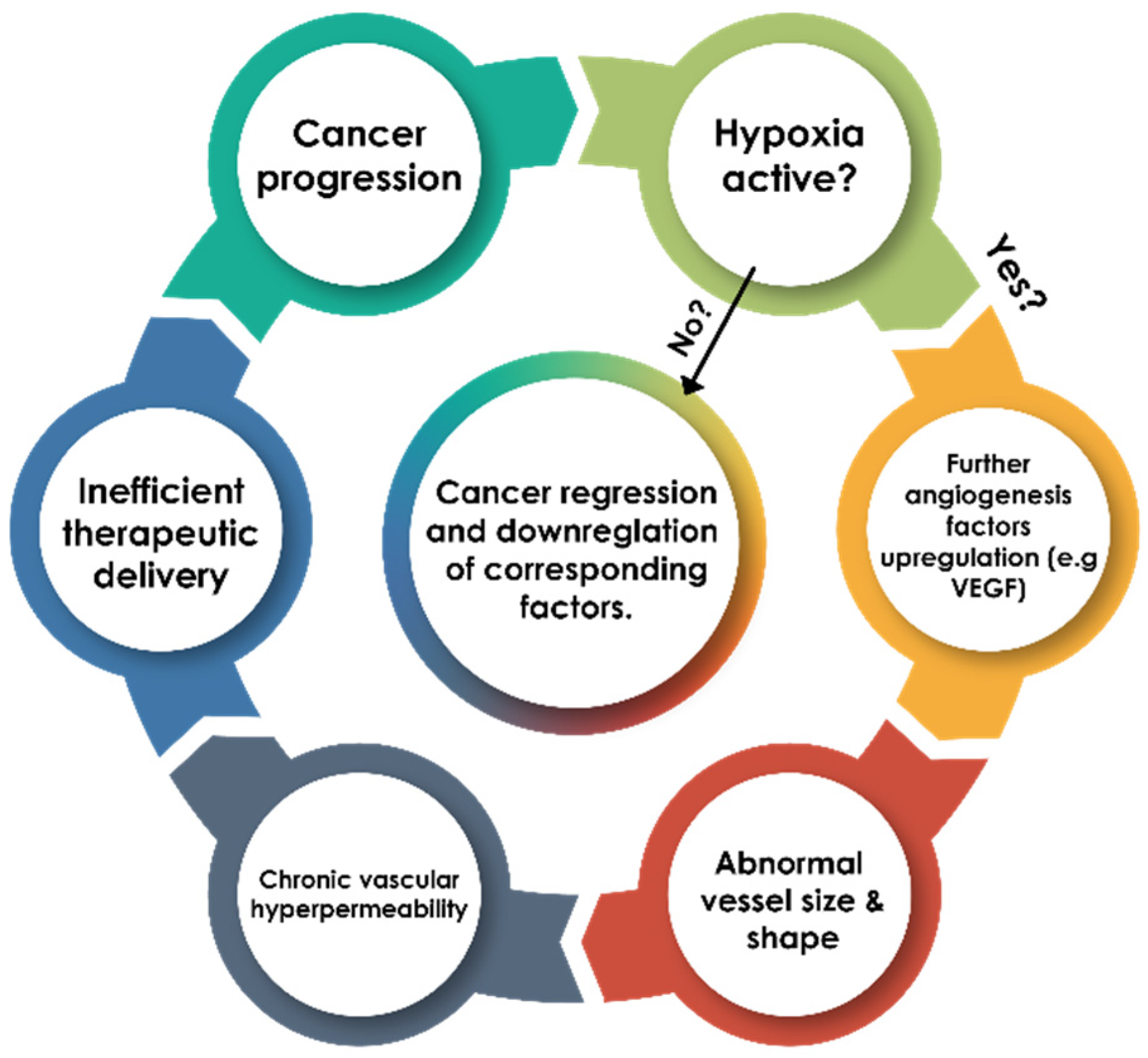 Pharmaceuticals 18 00459 g003