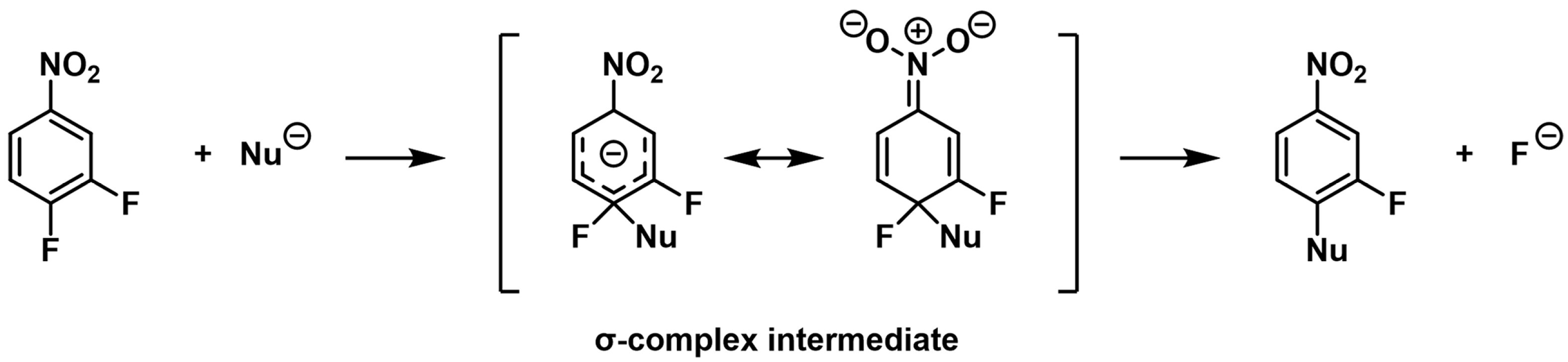 Pharmaceuticals 18 00465 g004