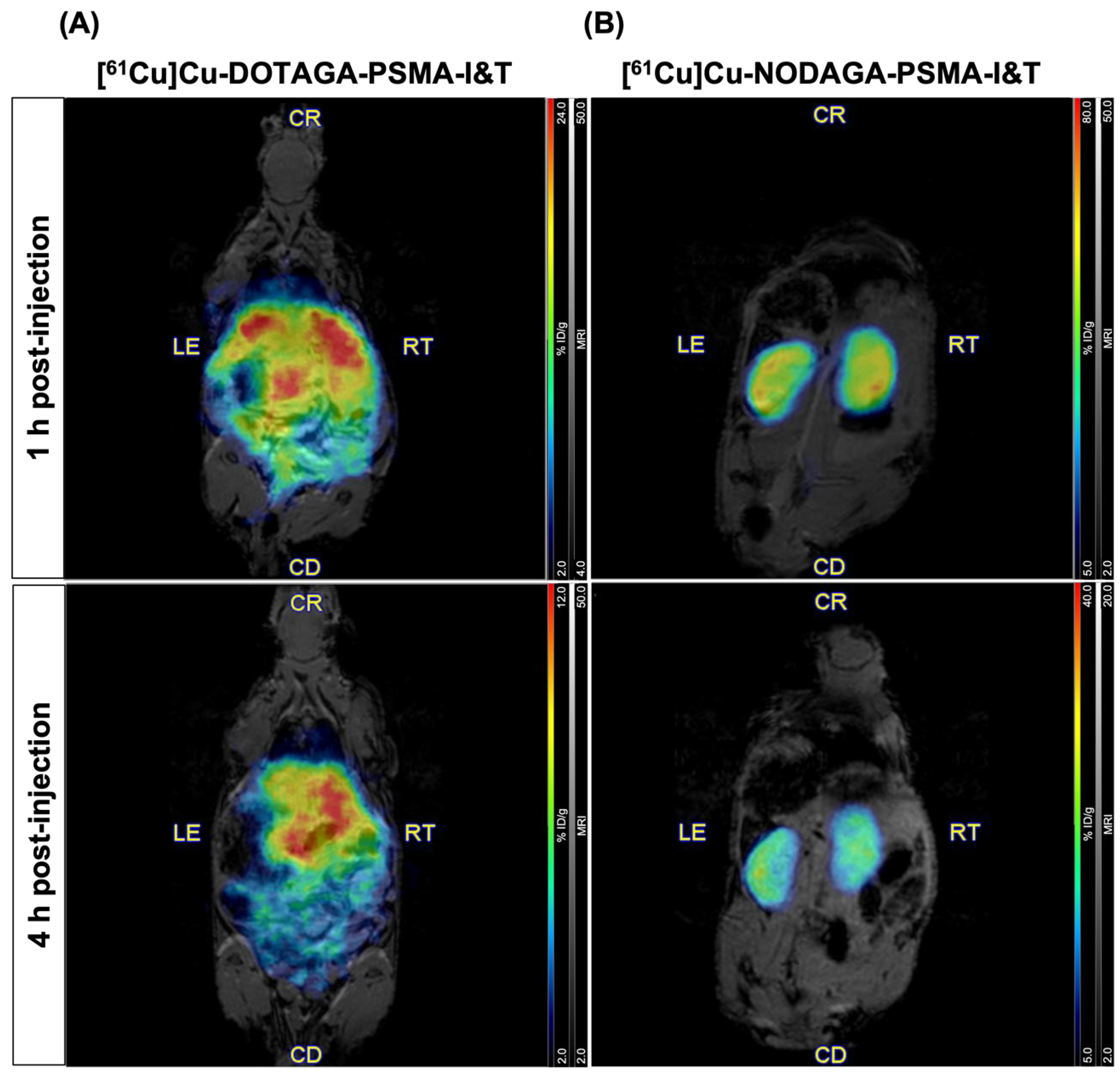 Pharmaceuticals 18 00469 g004