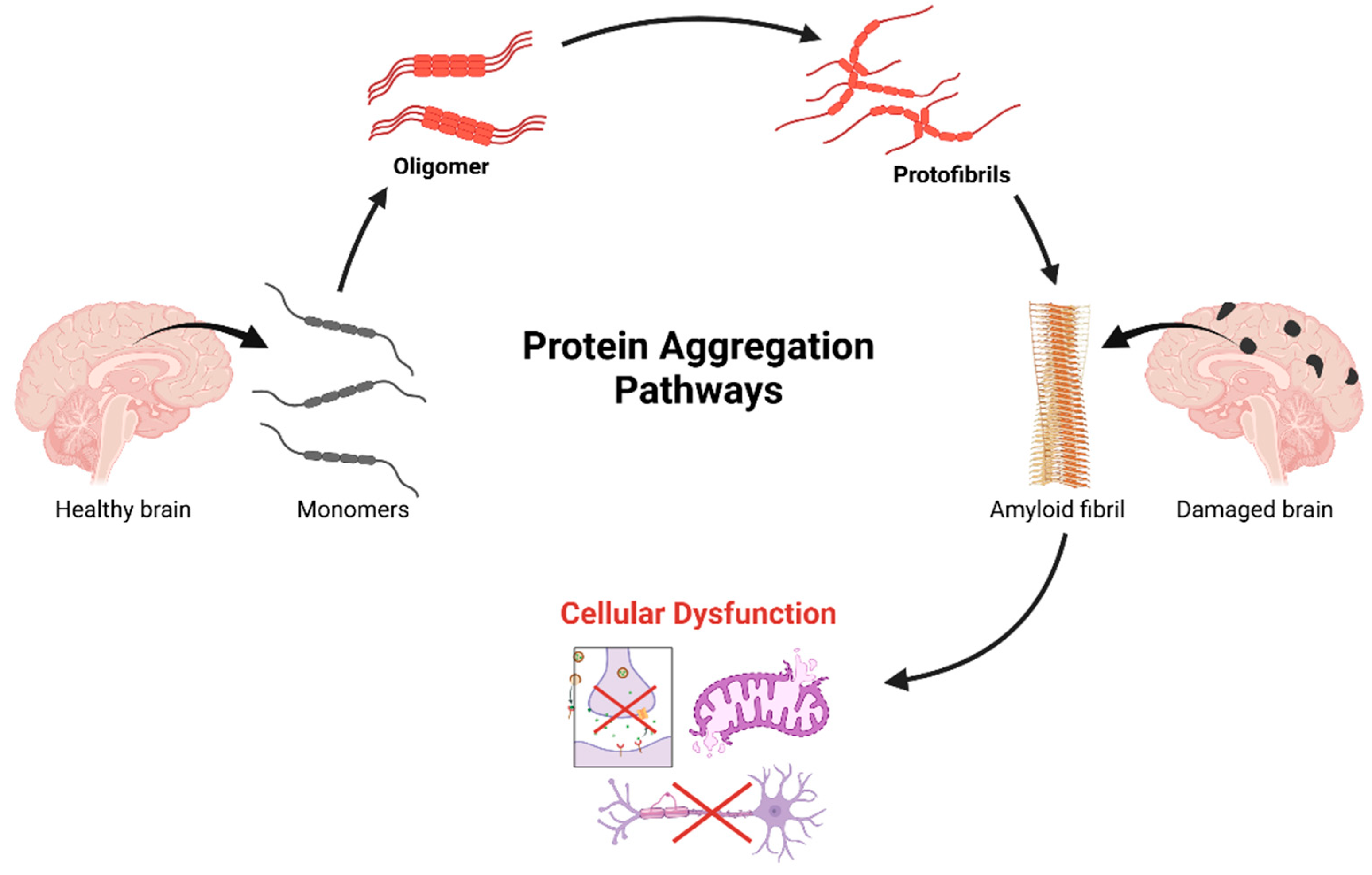 Pharmaceuticals 18 00486 g002