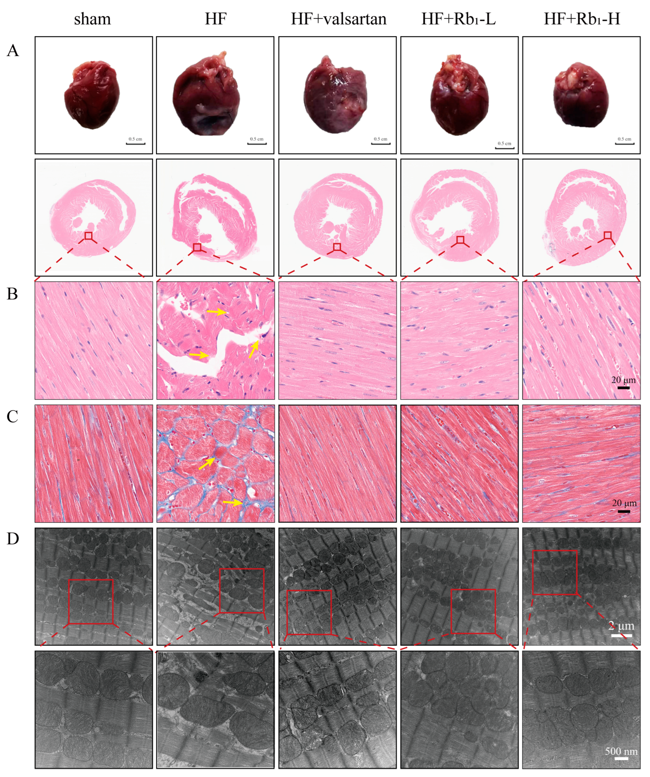 Pharmaceuticals 18 00500 g003