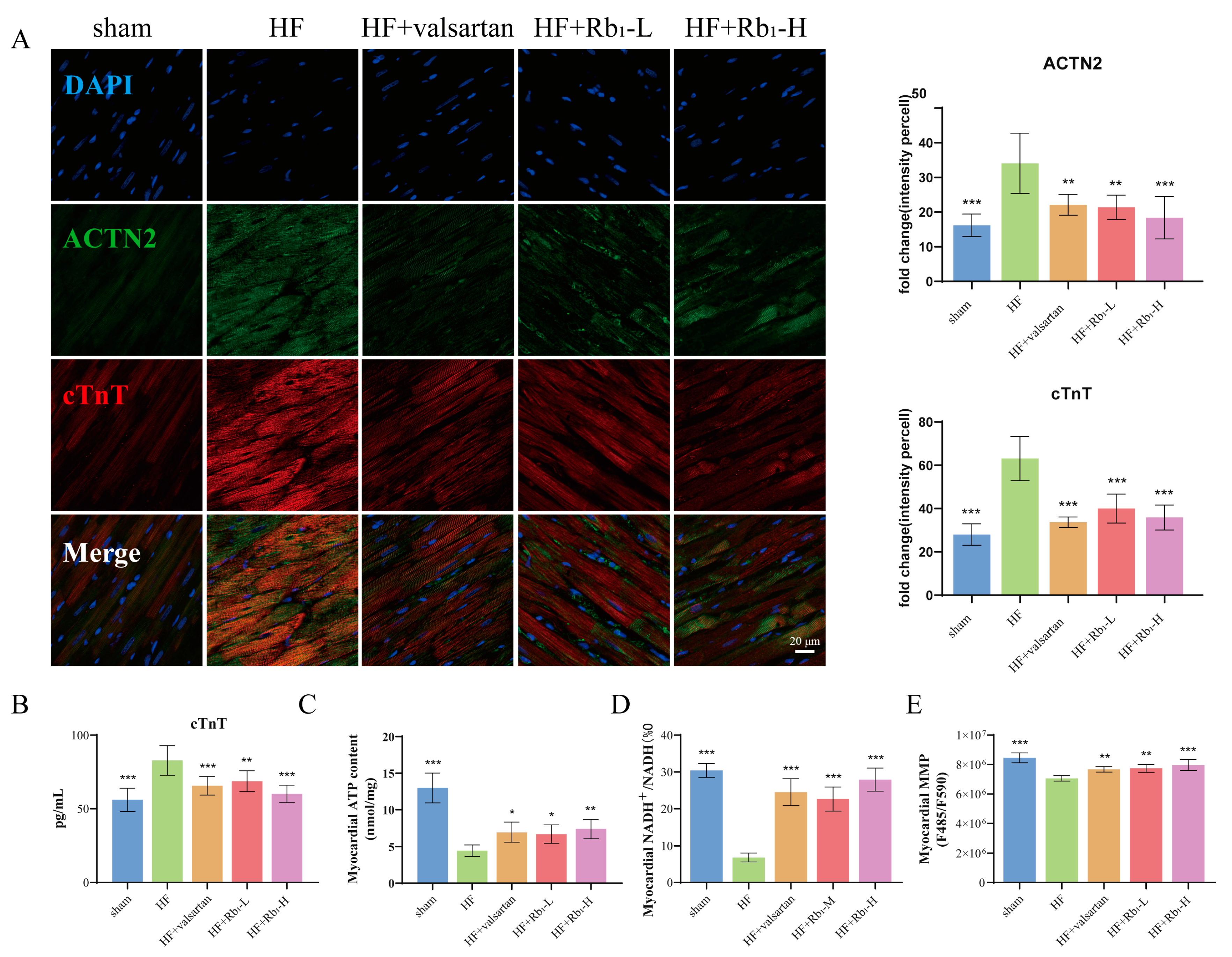 Pharmaceuticals 18 00500 g004