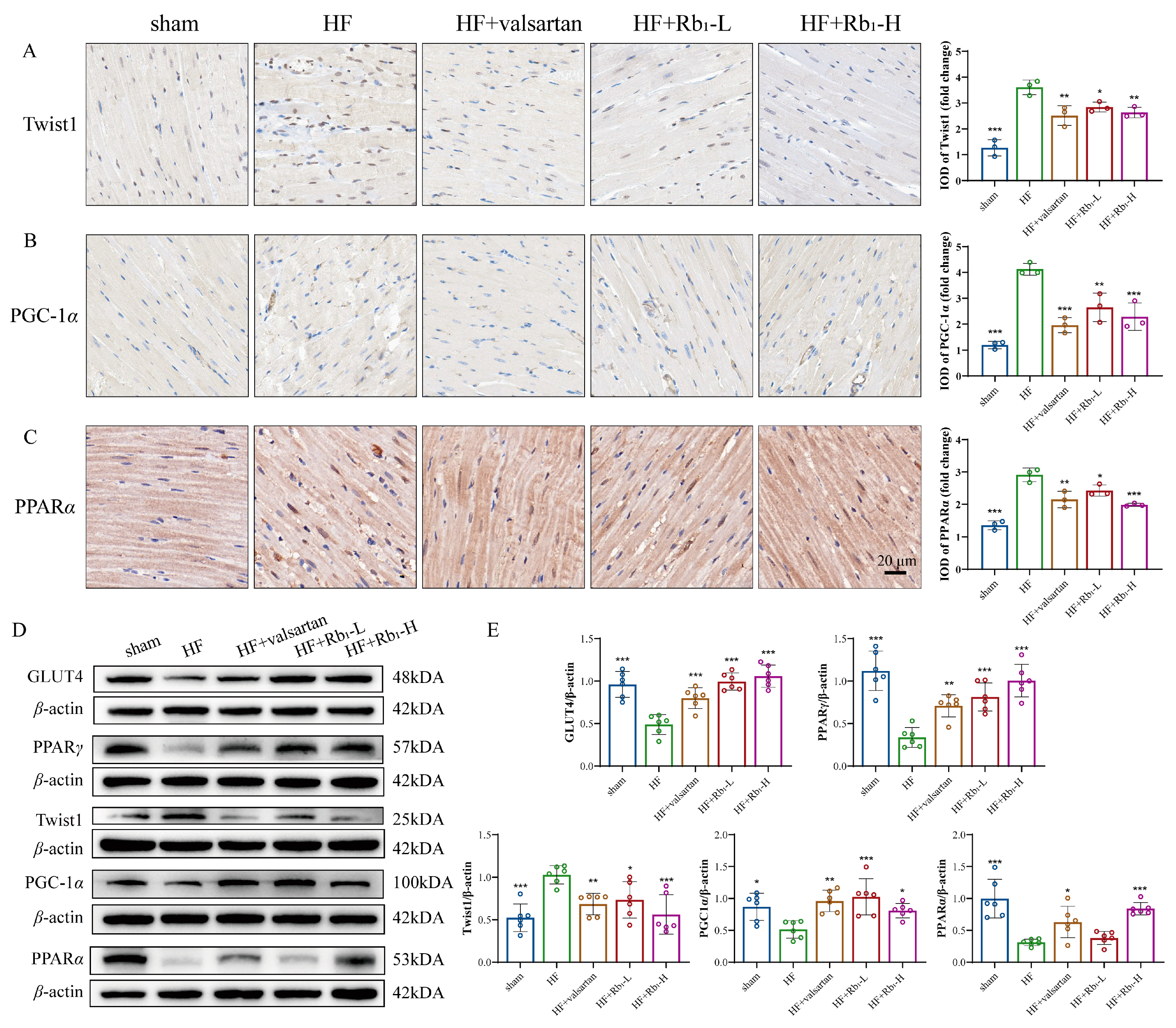 Pharmaceuticals 18 00500 g005