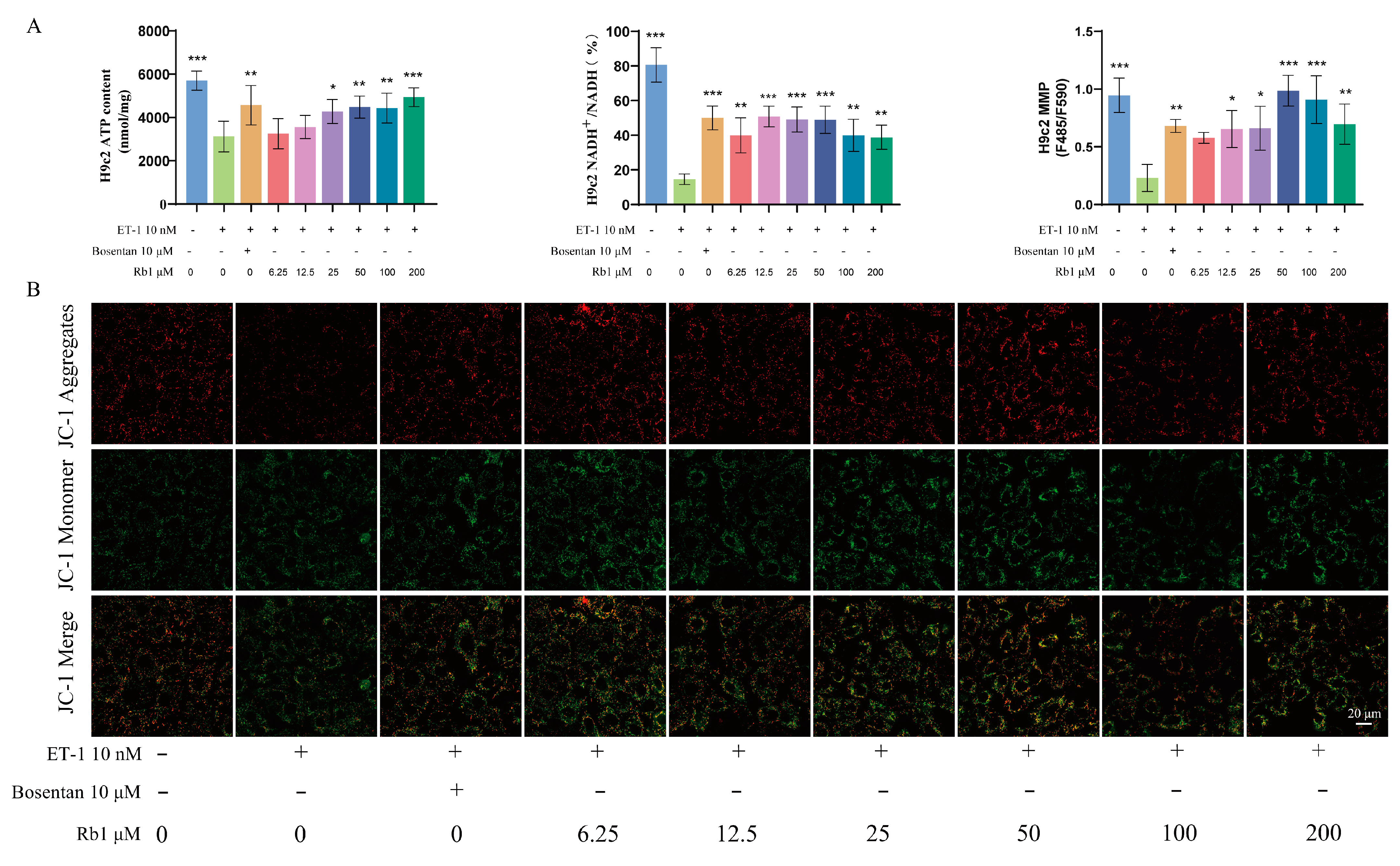 Pharmaceuticals 18 00500 g006