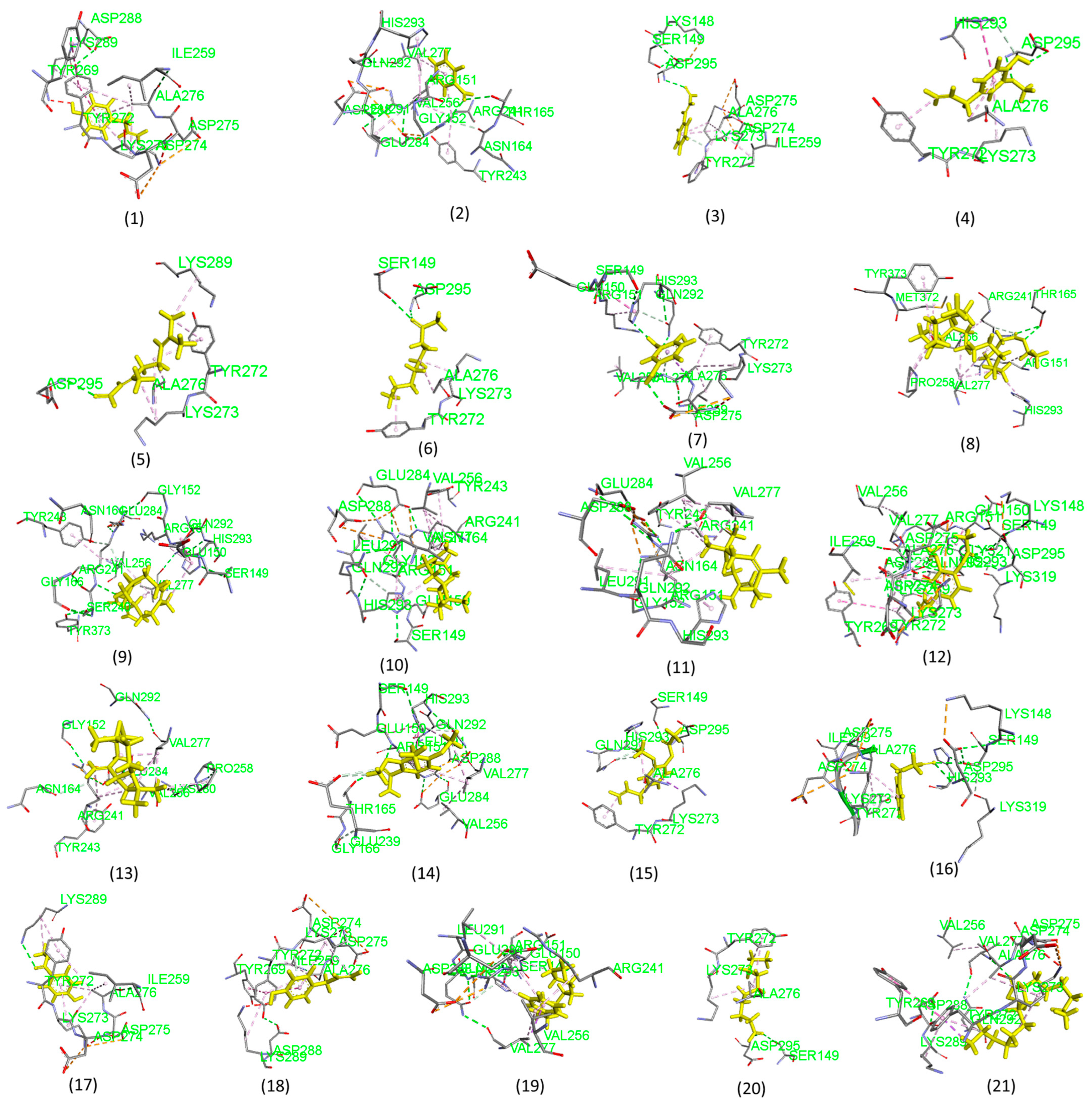 Pharmaceuticals 18 00504 g002
