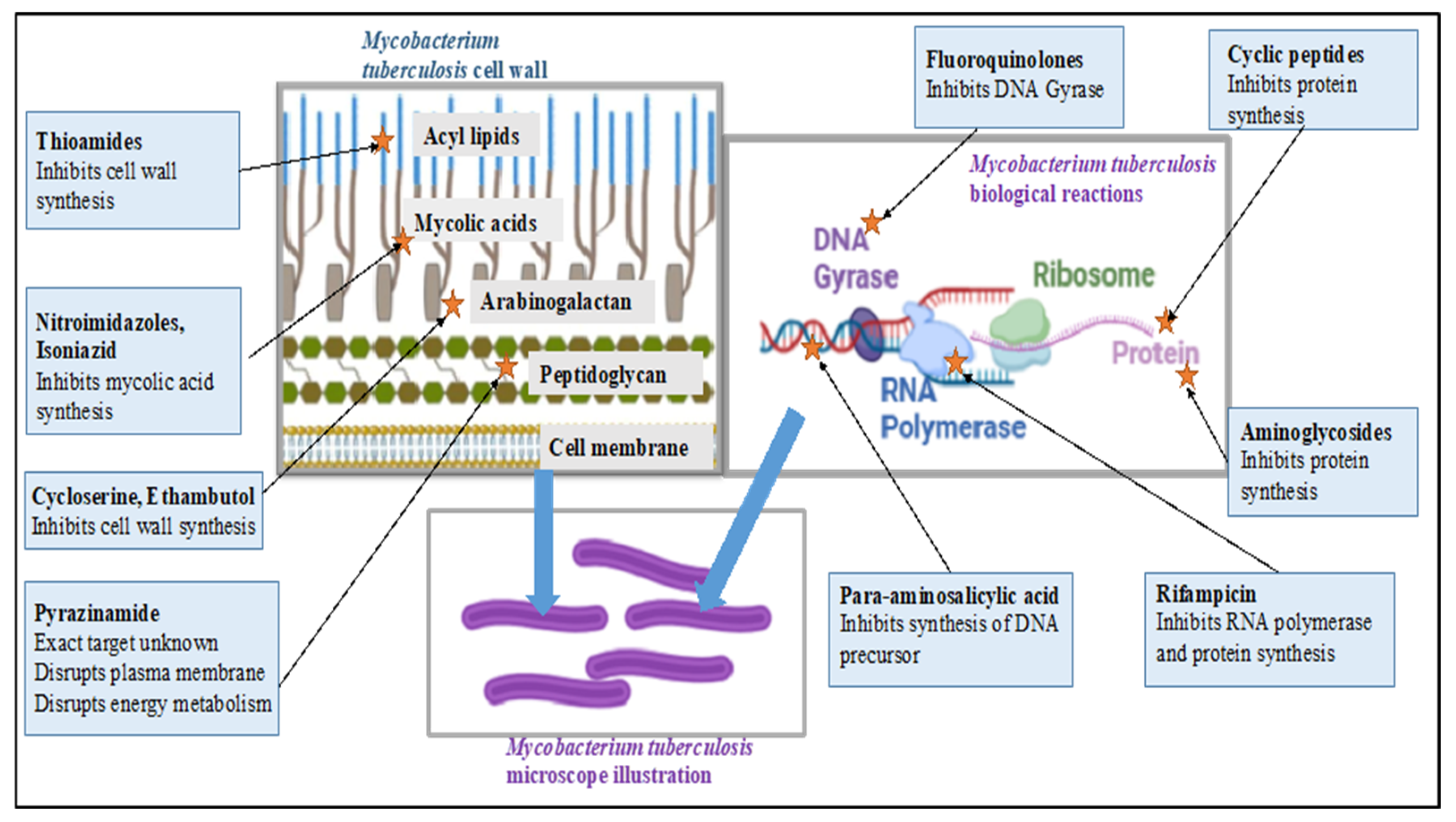 Pharmaceuticals 18 00513 g001