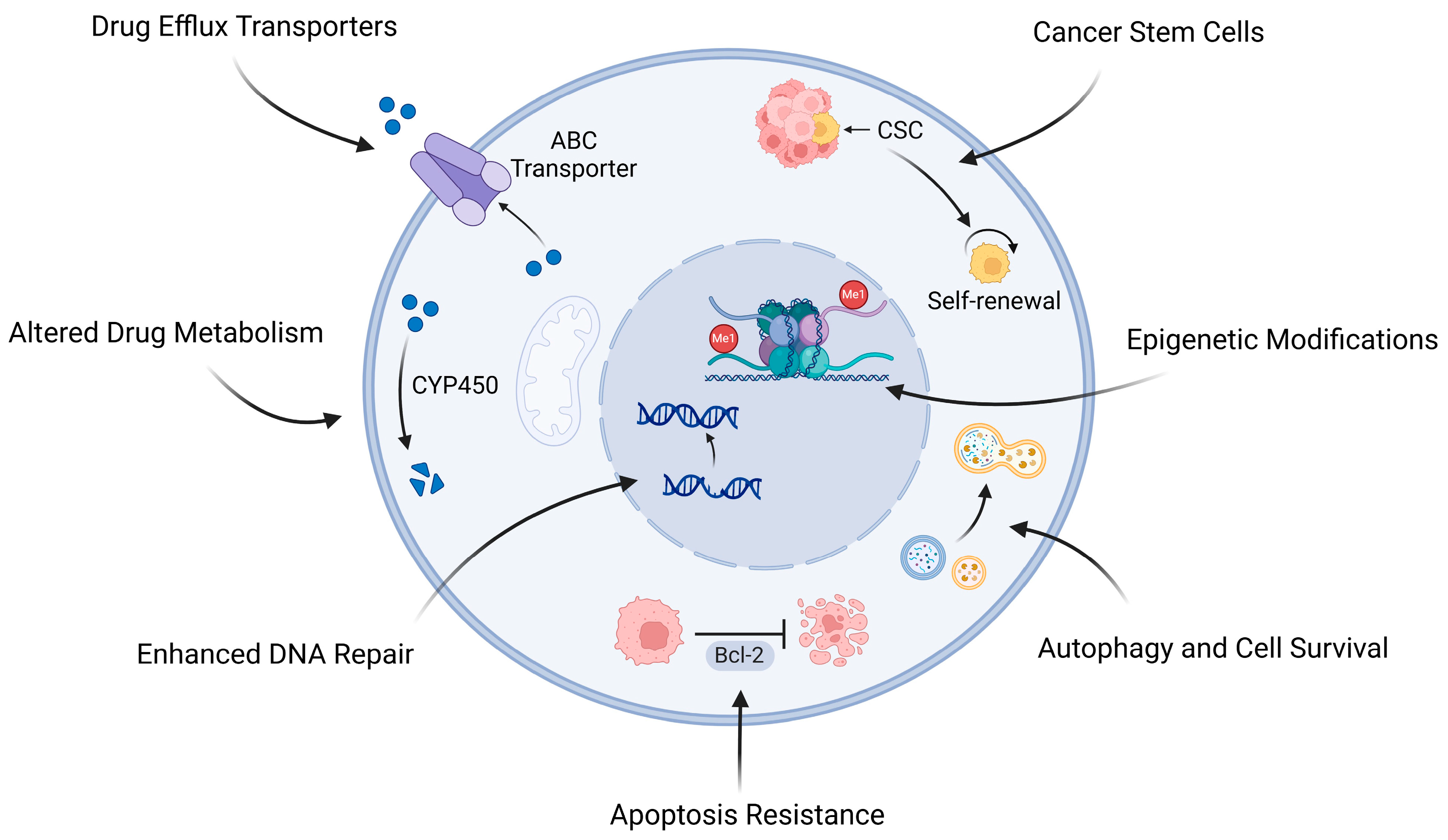 Pharmaceuticals 18 00520 g001 Pharmaceuticals 18 00520 g001