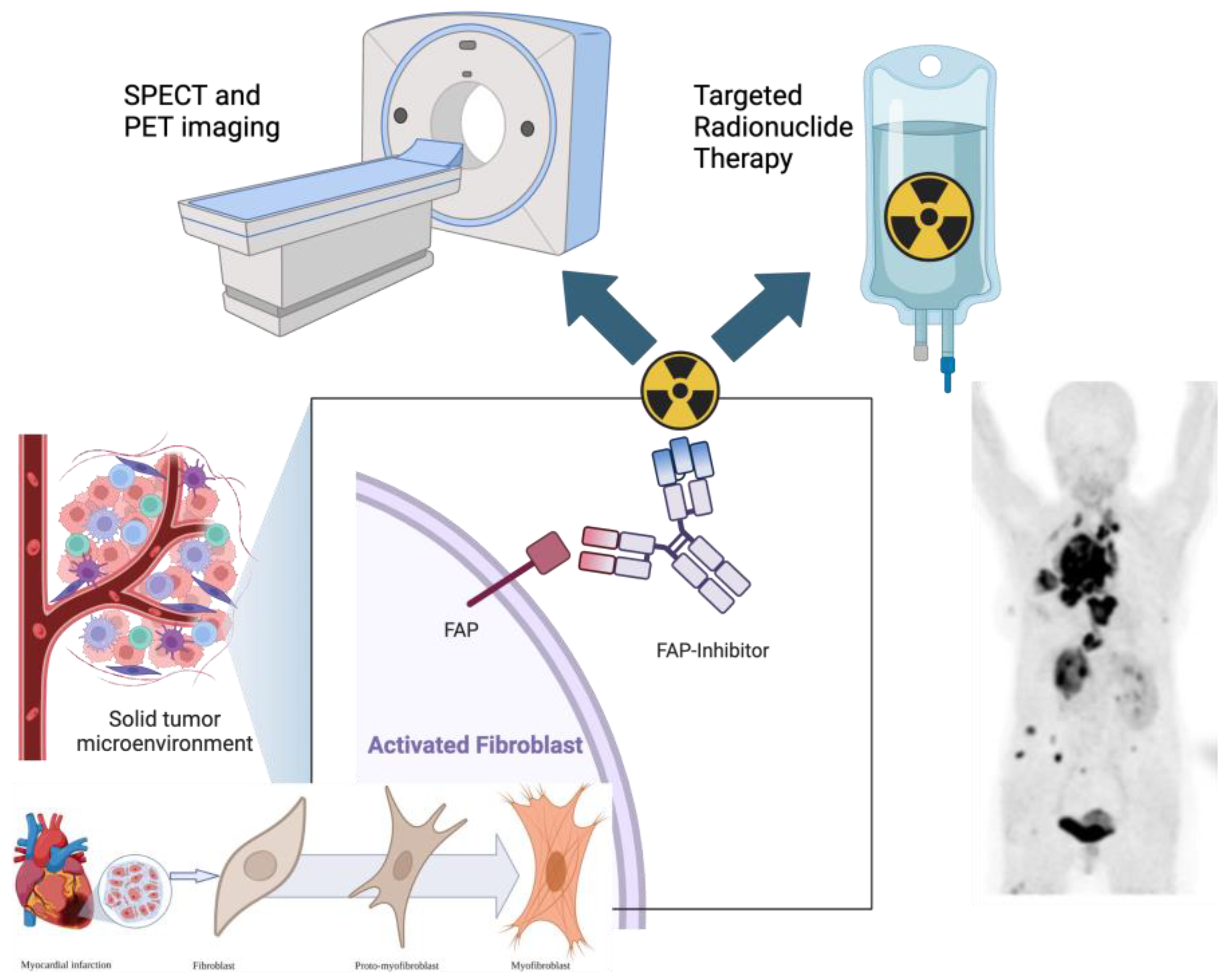 Pharmaceuticals 18 00522 g001