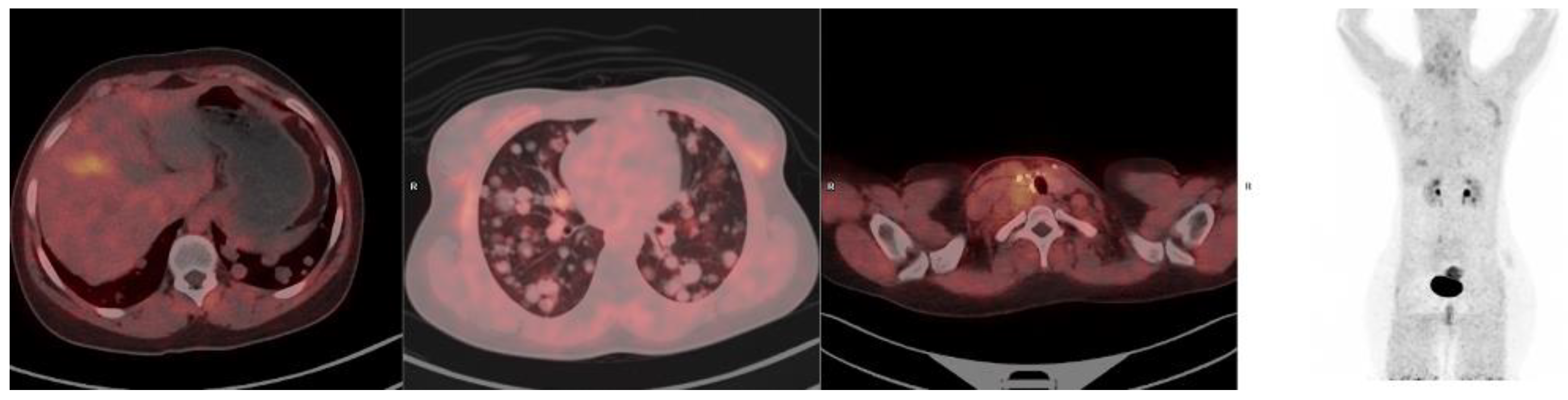 Pharmaceuticals 18 00522 g002